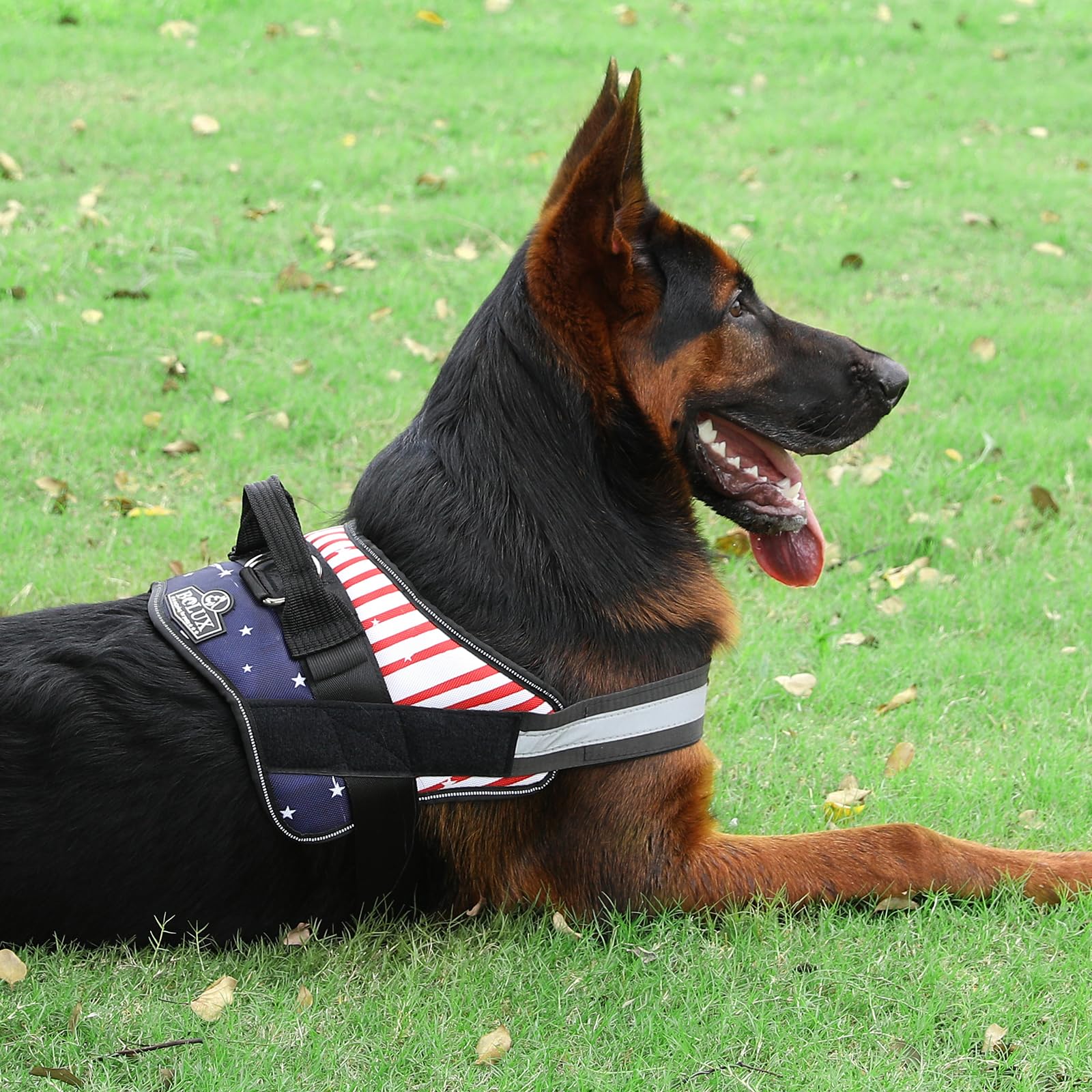 Bolux Dog Harness, No-Pull Reflective Dog Vest, Breathable Adjustable Pet Harness With Handle For Outdoor Walking - No More Pulling, Tugging Or Choking (Flag, Small)