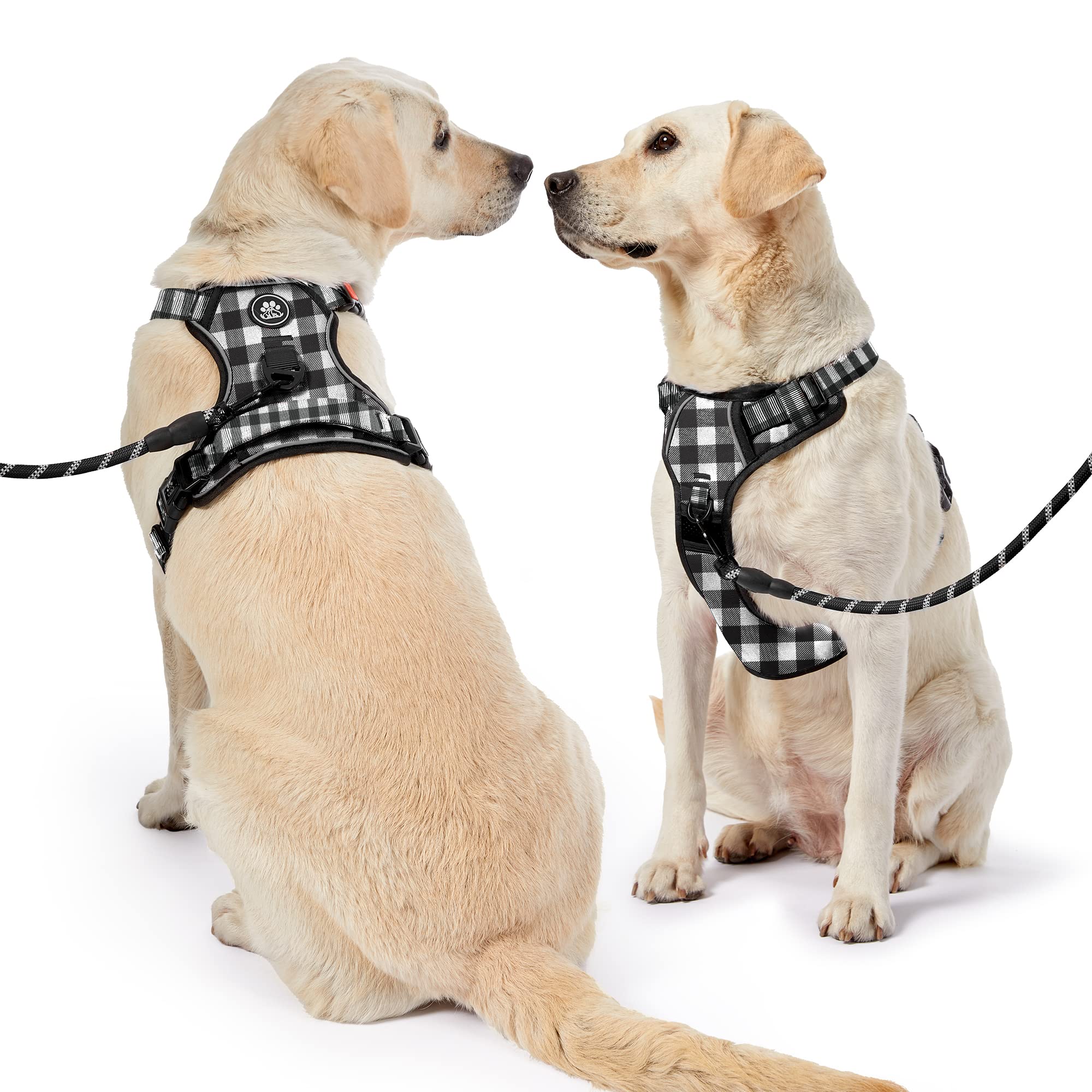 Nestroad Dog Harness (Checkered Black,S) With Leash, Reflective, Adjustable, Soft Padded, Easy Control Handle, For Small Dogs, F