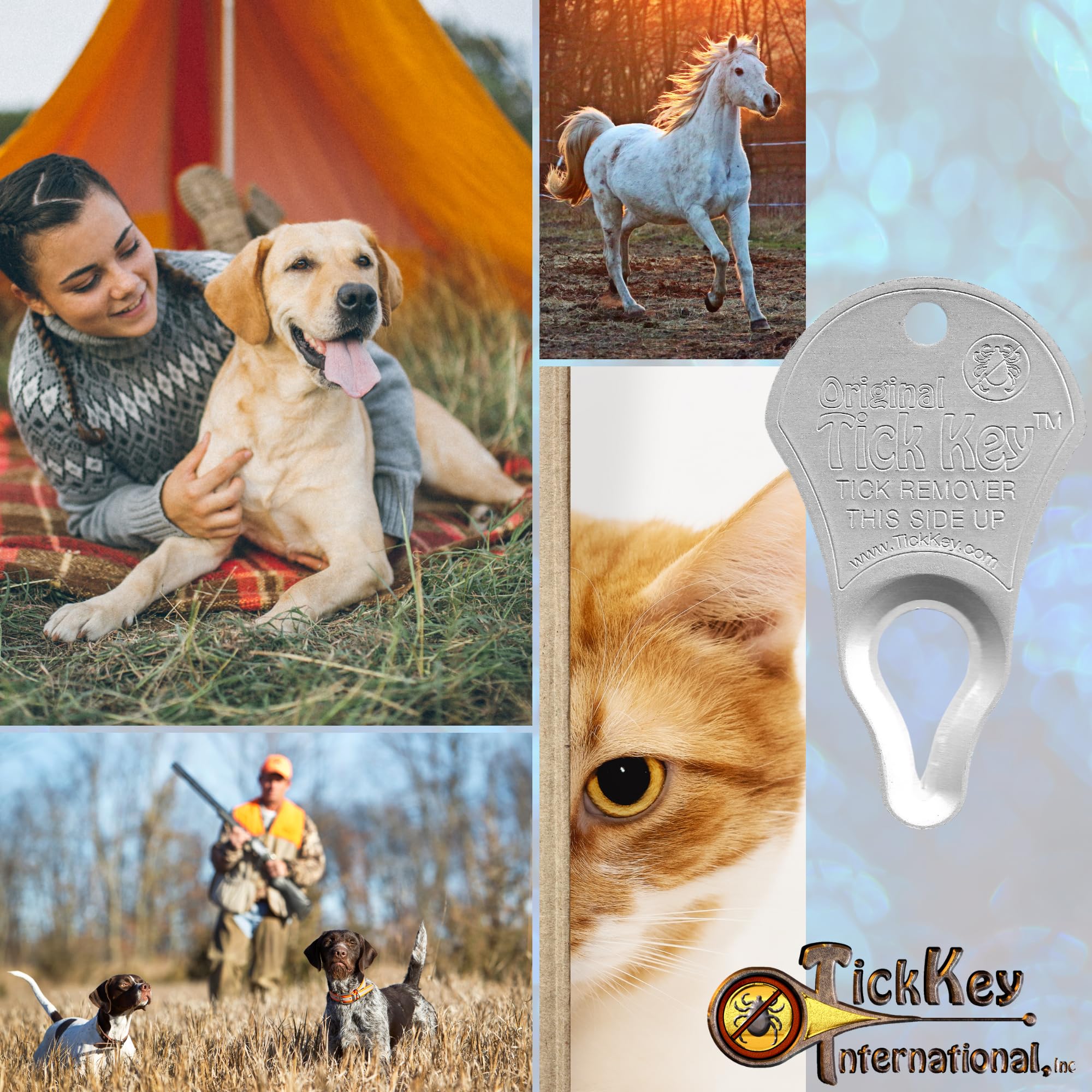 The Original Tick Key - Tick Detaching Device - Portable, Safe And Highly Effective Tick Detaching Tool (Silver)