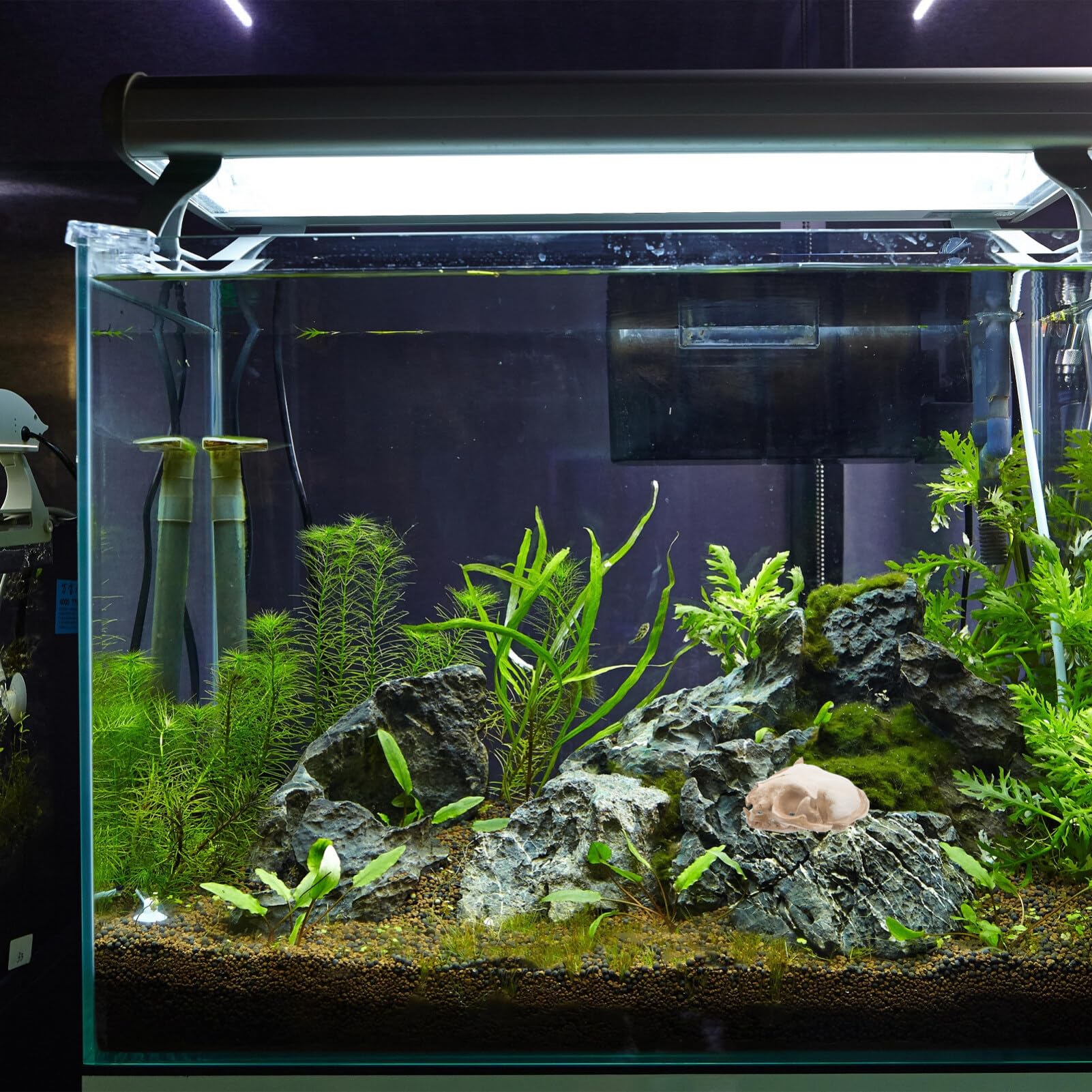 Amosfun Halloween Animal Scary Skeleton Props Resin Cat Skull Model Figurine Aquarium Fish Tank Landscape Decorations