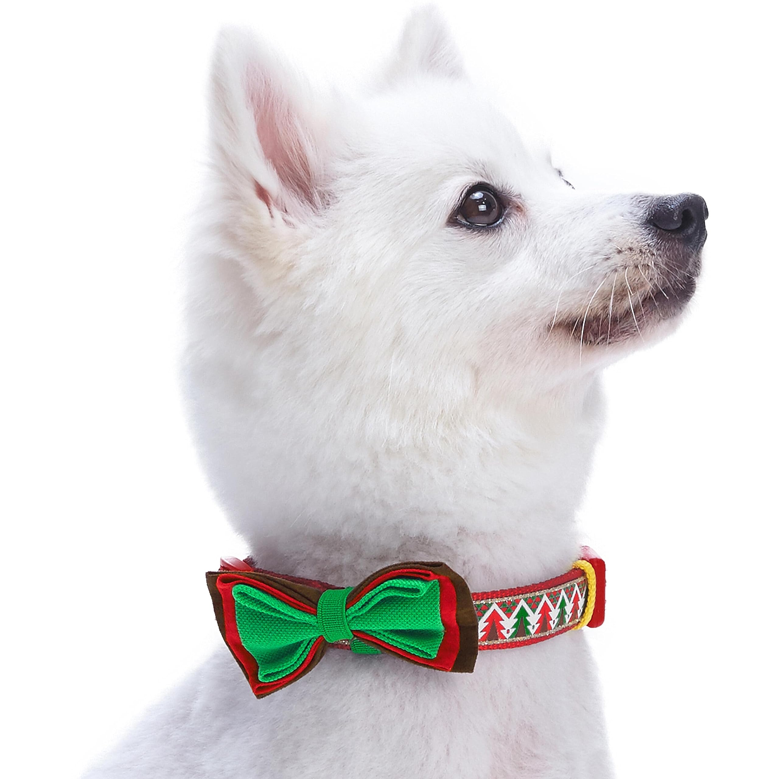 Blueberry Pet 4 Patterns Christmas Charm Breezy Trees Adjustable Dog Collar With Detachable Bow Tie, Medium, Neck 14.5'-20'