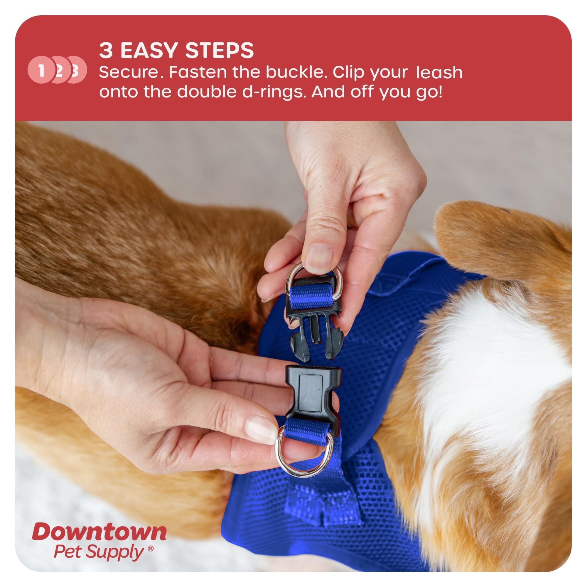 Downtown Pet Supply Step In Dog Harness For Small Dogs No Pull, Medium, Blue - Adjustable Harness With Padded Mesh Fabric And Re
