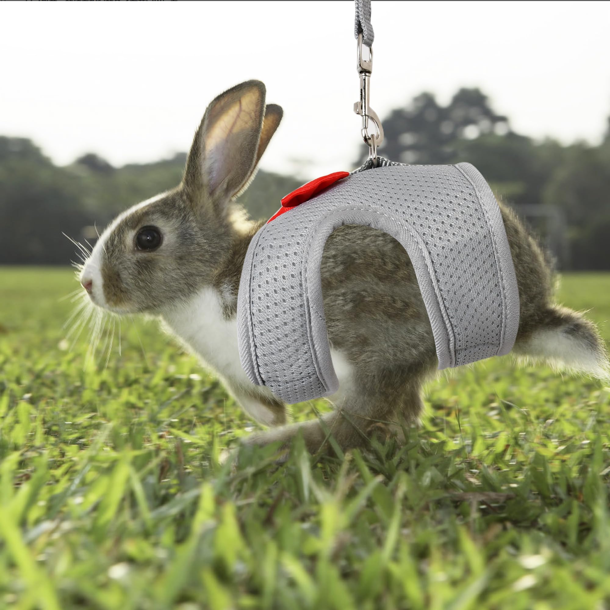 AIITLE Rabbit Harness and Leash Set with Cute Bow, Soft Breathable Mesh Vest Harness for Rabbits Kitten Ferret Puppy Small Pets