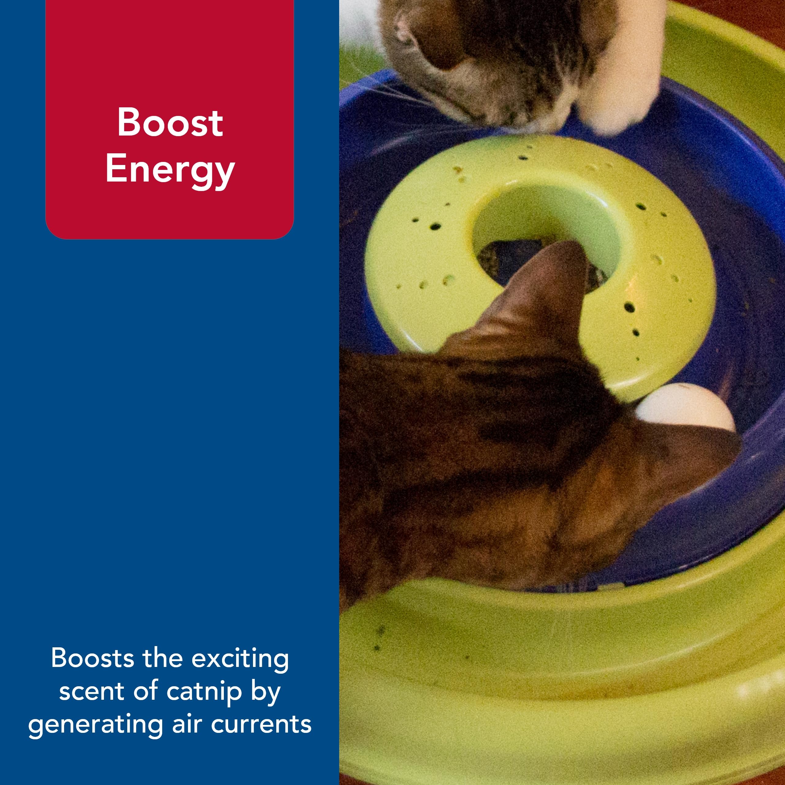 Coastal Pet Turbo Catnip Hurricane Cat Toy - Interactive Double Cat Toy Ball Track - For Cats And Kittens - Green And Blue - 16'