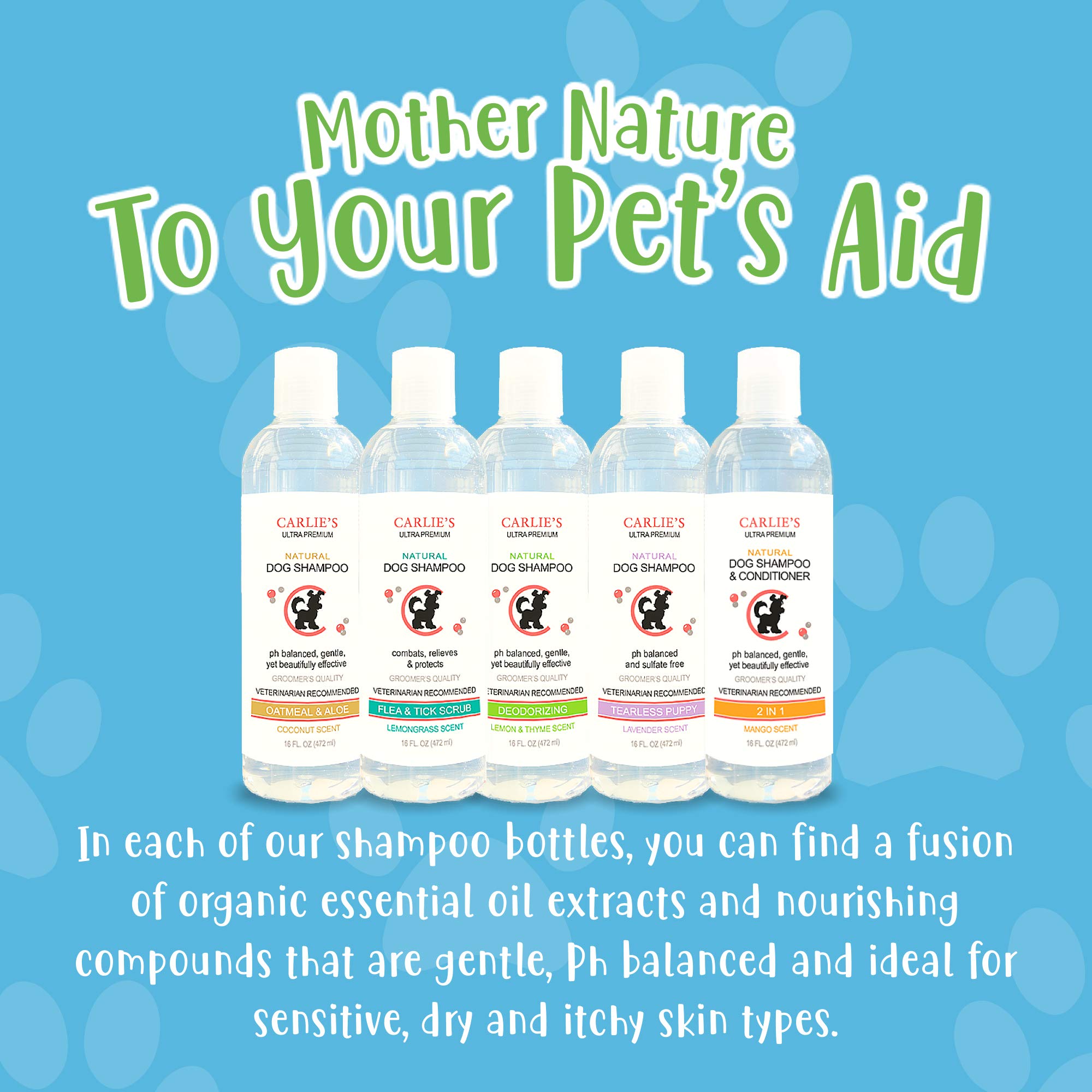 Scoochie Pets Dog Shampoo & Conditioner| Skin Soothing, Ph Balanced| Deodorizing, Moisturizing & Detangling Action| Hypoallergenic & Veterinarian Recommended Pet Grooming (Coconut - Oatmeal & Aloe)