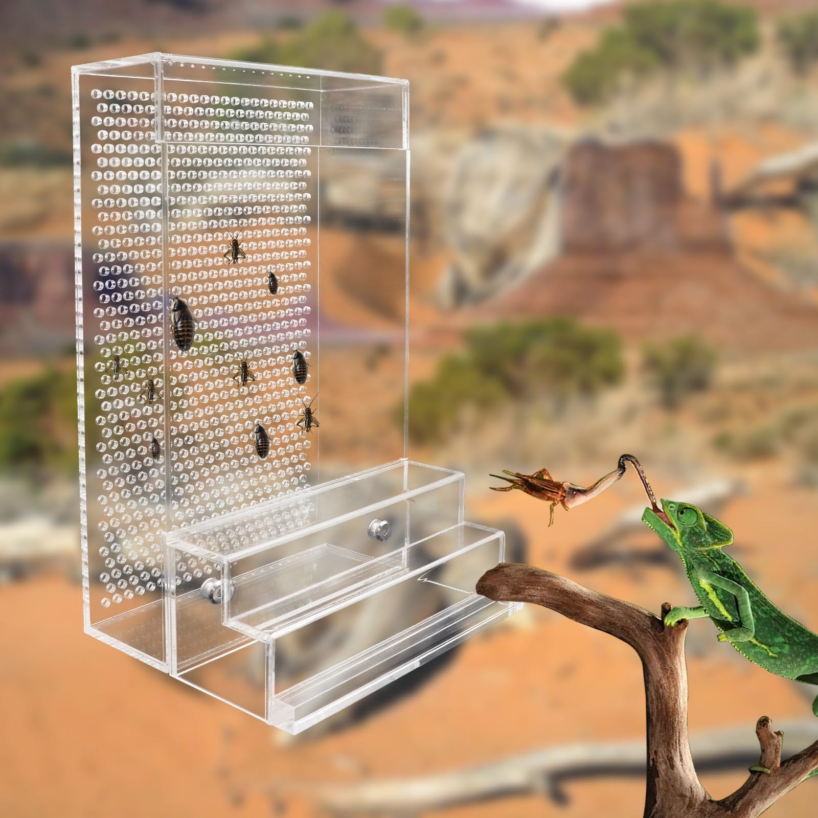 Large Bearded Dragon Feeder, Chameleon Bug Bowl Kit With Steps, Transparent Acrylic Reptile Feeder Box, Tank & Aquarium Accessor