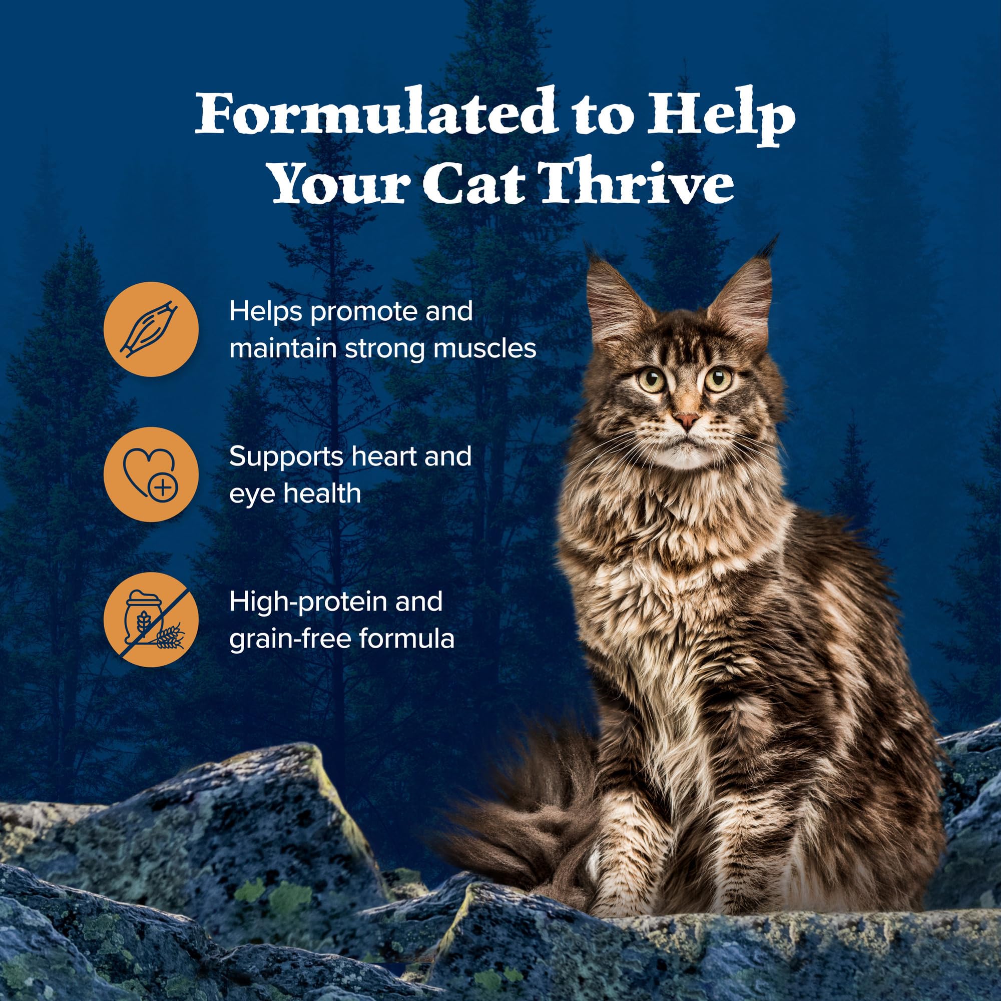 Blue Buffalo Wilderness Wild Delights Minced Natural Wet Cat Food, Chicken & Turkey in Tasty Gravy, 5.5-oz. Cans, 24-Pack