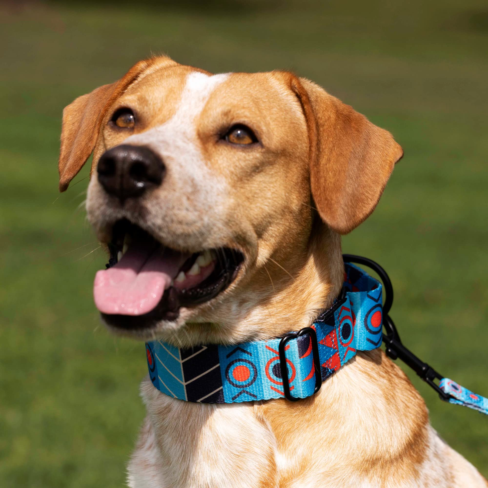 Collardirect Martingale Dog Collar Nylon Safety Training Tribal Pattern Adjustable Heavy Duty Collars For Dogs Medium Large (Pattern 1, Extra Large, Neck Size 19'-24')