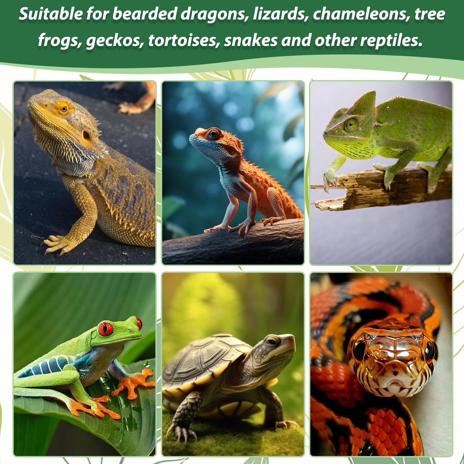 Pinvnby Pivby Flexible Bend-A-Branch Jungle Vines Pet Habitat Decor Reptile Plants Terrarium For Lizard, Frogs, Snakes And More Reptiles Climbing (Fat: 43.31 X 0.79 Inch)