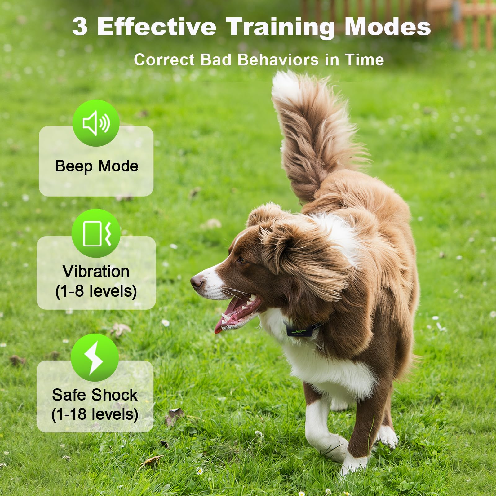 wagnation Shock Collar for Dogs - 3300FT Remote Control, IPX7 Waterproof, Rechargeable, Suitable for 10-120lbs Dogs, Model FF01
