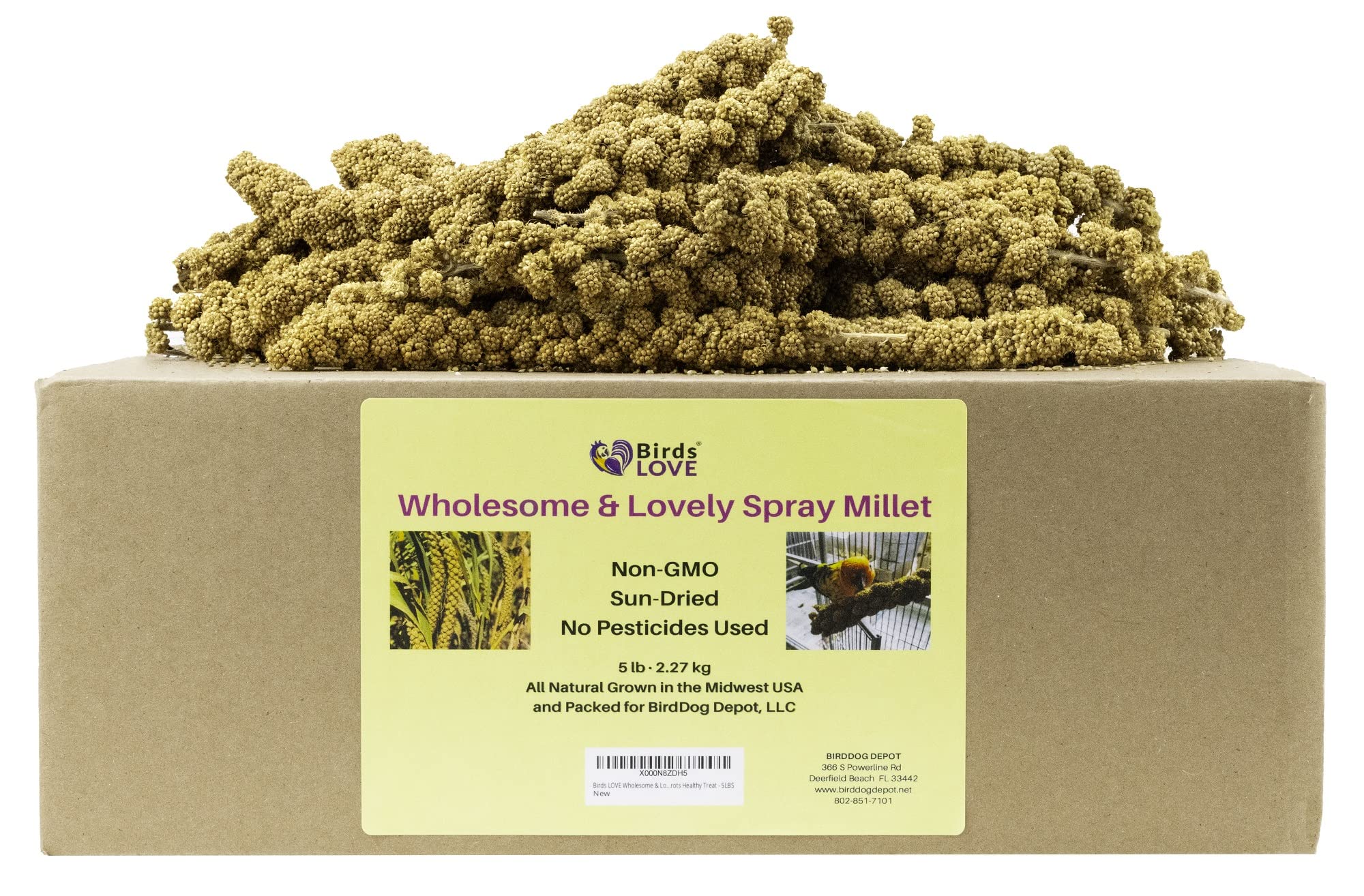Birds LOVE Wholesome & Lovely Spray Millet Non-GMO (No Stems Only Edible Tops) for Parrots Birds Cockatiel Lovebird Parakeets Fi