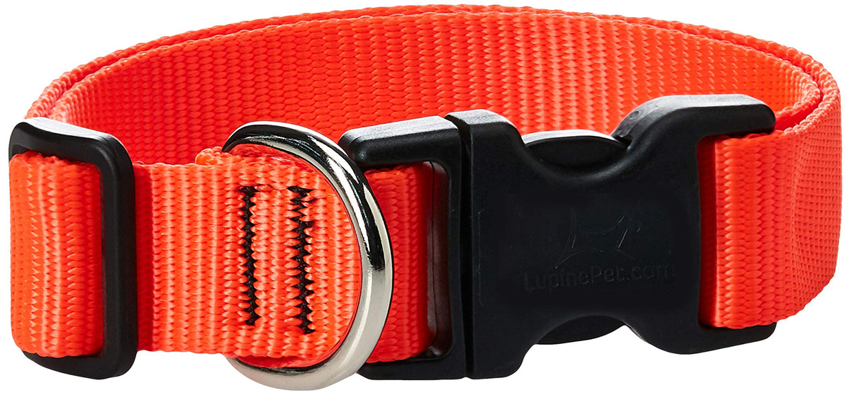 Lupinepet Basics 1' Blaze Orange 16-28' Adjustable Collar For Large Dogs