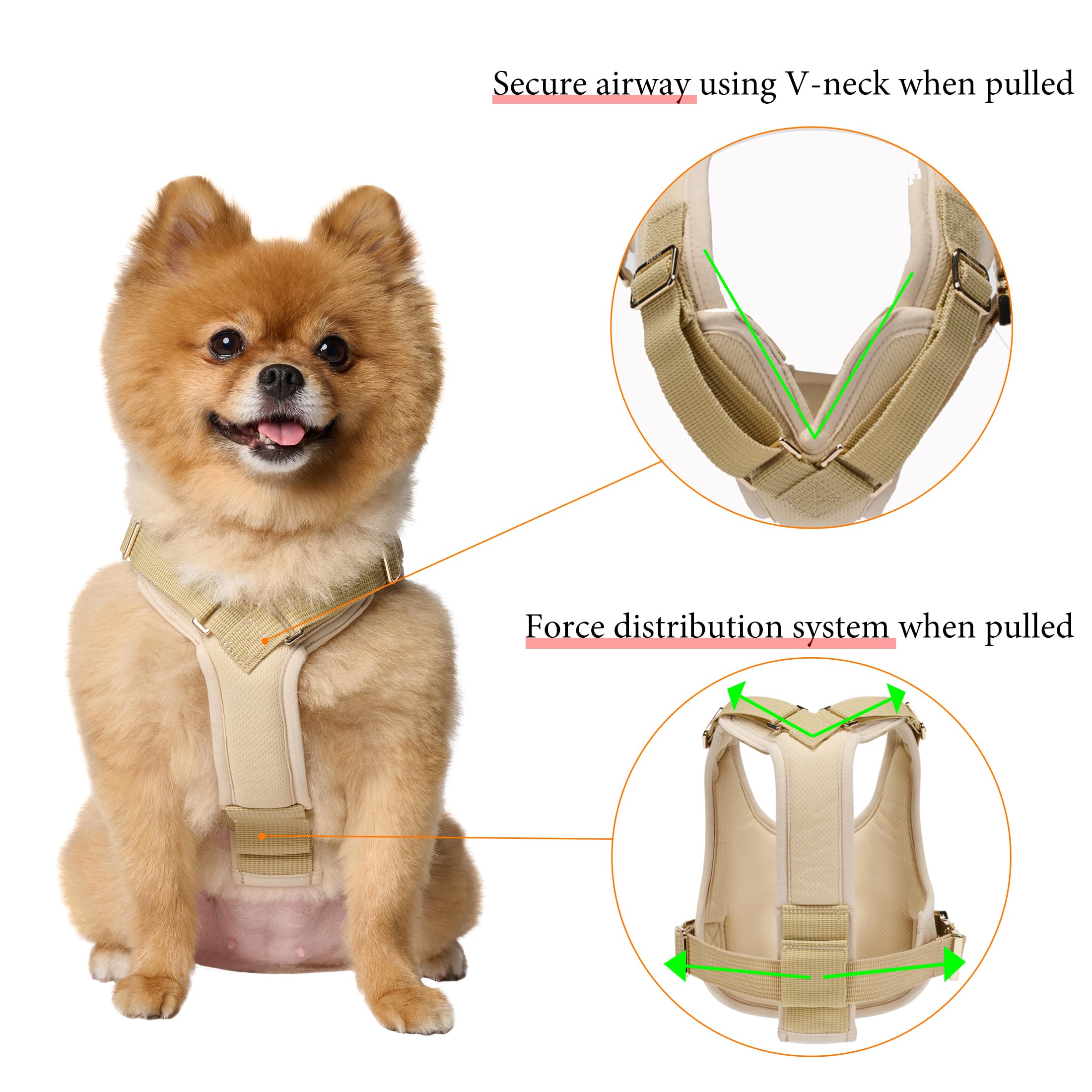 Petcious Small Dog Lift Durable Harness 5-15Lbs 5Lb-7 3-5Lb Senior Dogs For Assist Hind Leg, Degenerative Baby Pet, Sling Myelop