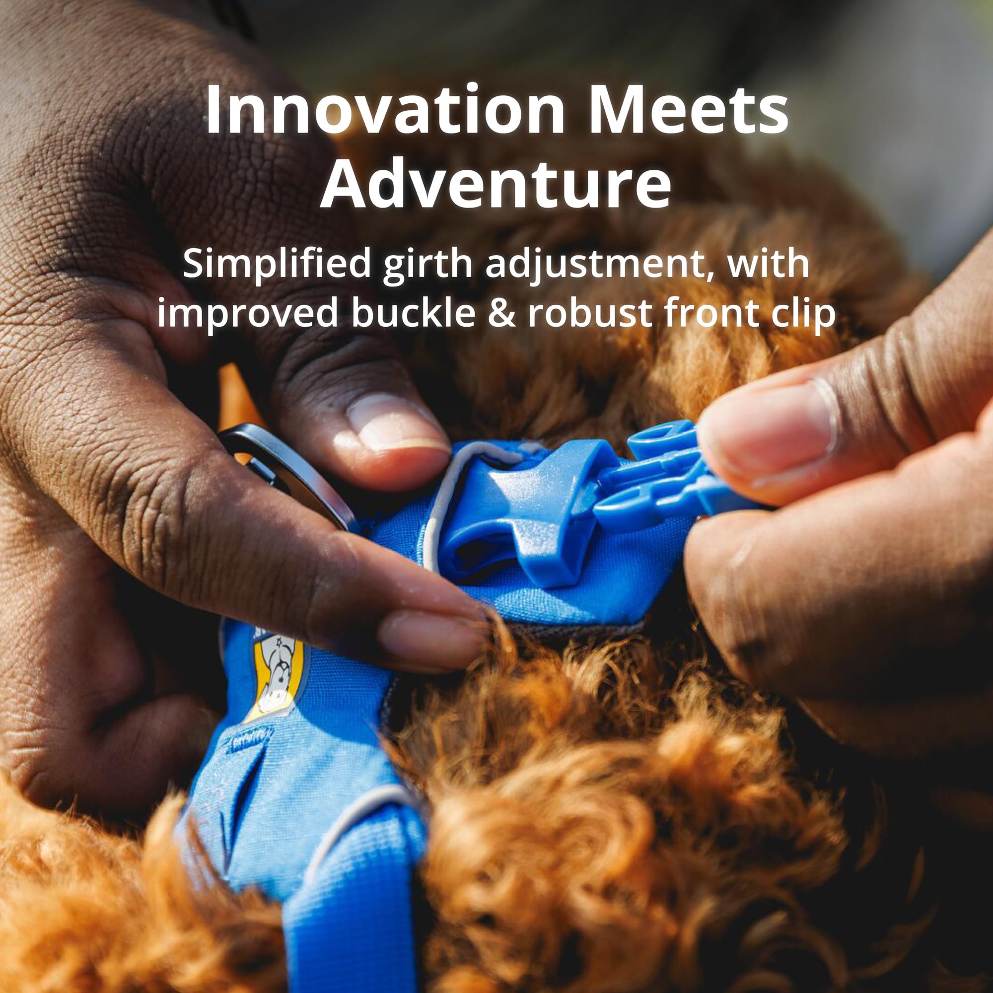 Ruffwear, Front Range Dog Harness, Reflective And Padded, No Pull Harness For Training And Everyday, Basalt Gray, X-Small