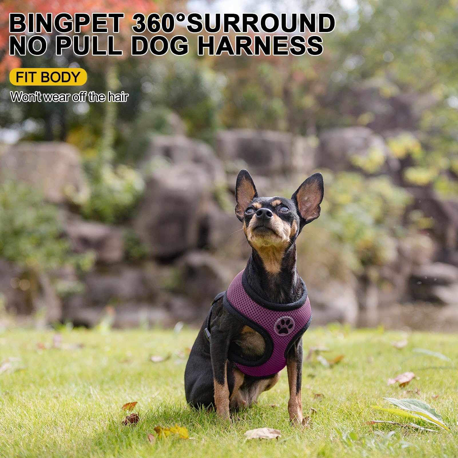 Bingpet Small Dog Harness - Breathable Mesh Puppy Cat Harnesses - No Pull Adjustable Dog Harness Dog Vest Harness For Small And Medium Dogs