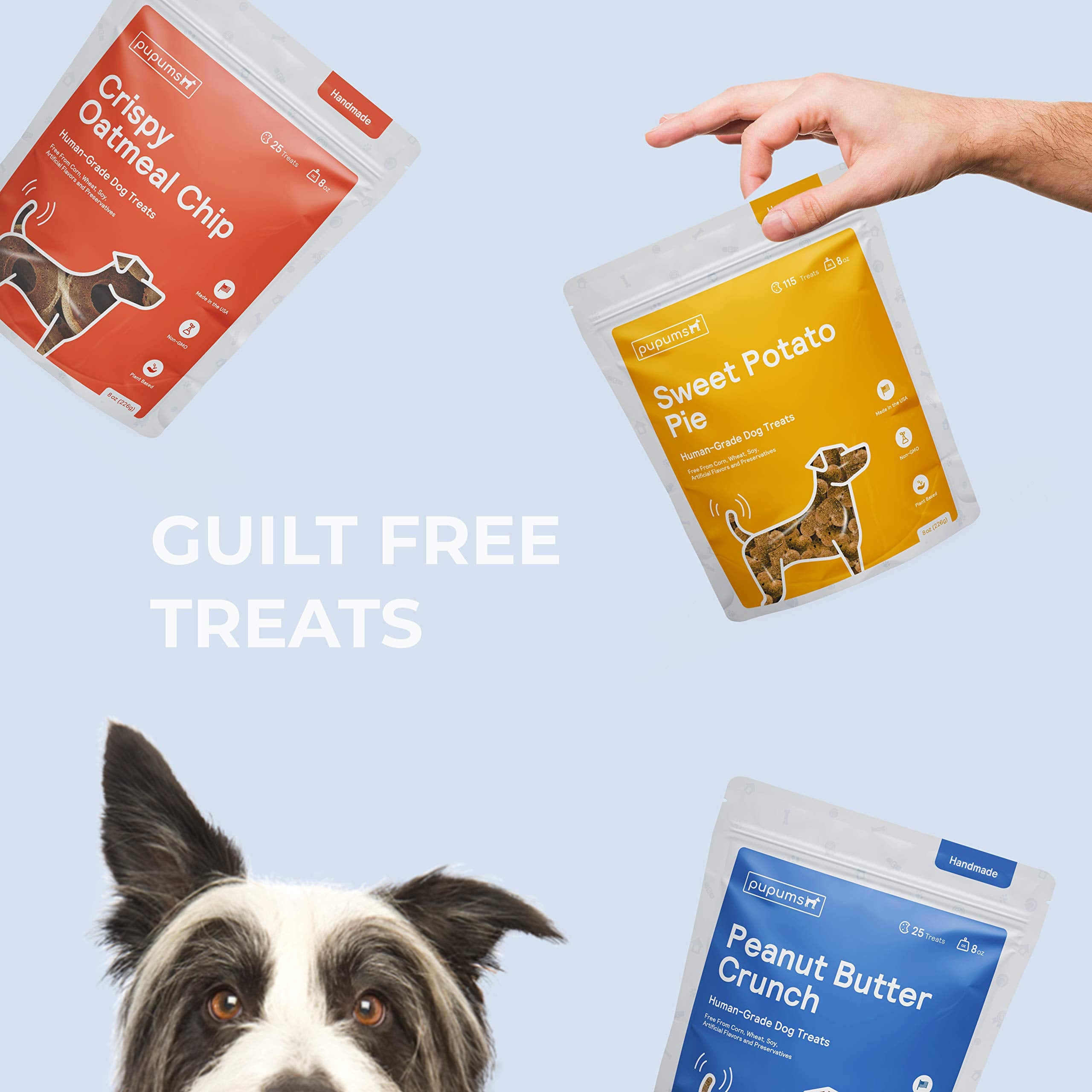 Pupums Healthy Dog Treats Non-GMO Grain Free Human Grade Crispy Oatmeal Chip Made in USA (8oz)