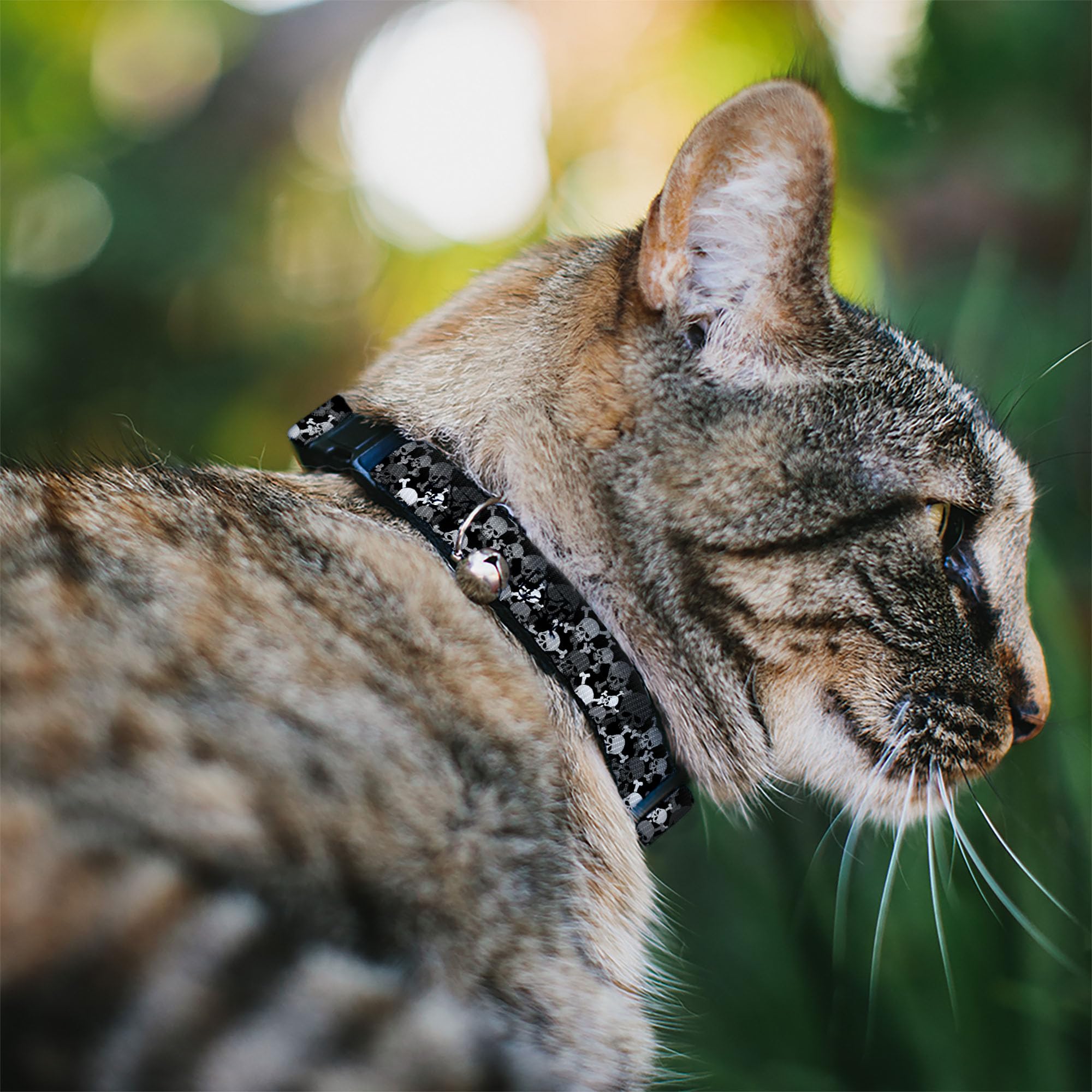 Cat Collar Breakaway Multi Top Skulls Stacked Blak Gray White, 1/2 Wide - Fits 8-12 Neck (DC-BABKSR-W33913-0.5-M)