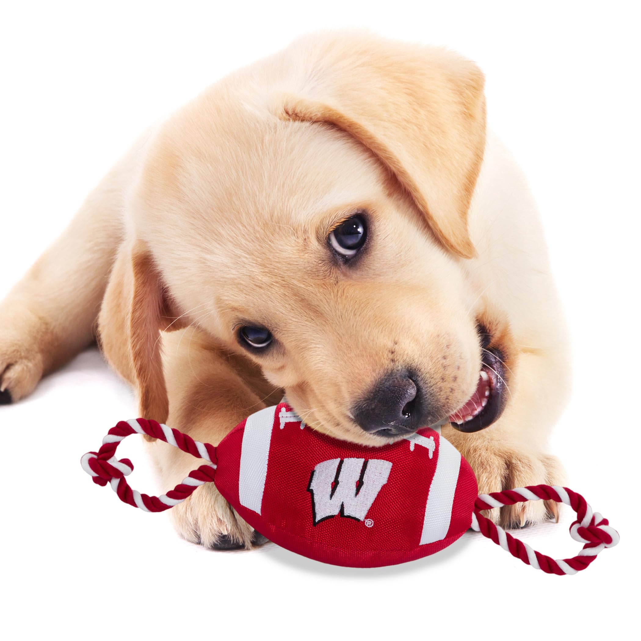 Pets First NCAA Wisconsin Badgers Football Dog Toy, Tough Quality Nylon Materials, Strong Pull Ropes, Inner Squeaker, Collegiate