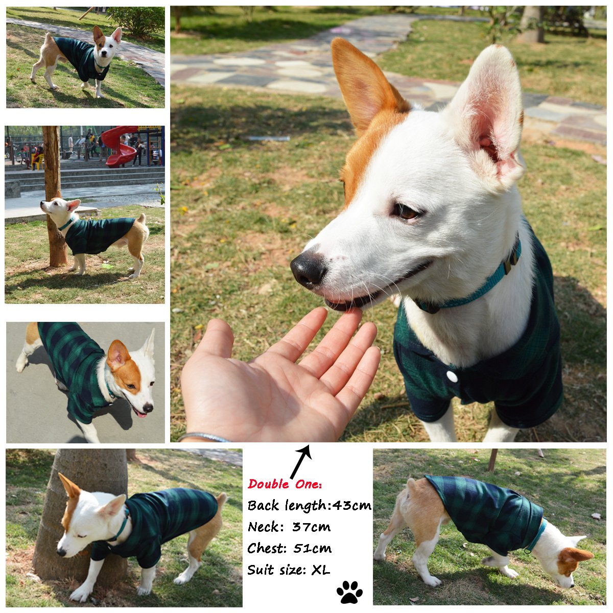 Koneseve Dog Shirt, Pet Plaid Clothes Shirt T-Shirt, Sweater Bottoming Shirt For Small Dog Cat Puppy Grid Adorable Wearing Stylish Cozy Halloween,Christmas Costumes {Green;Xl/Extra Large}