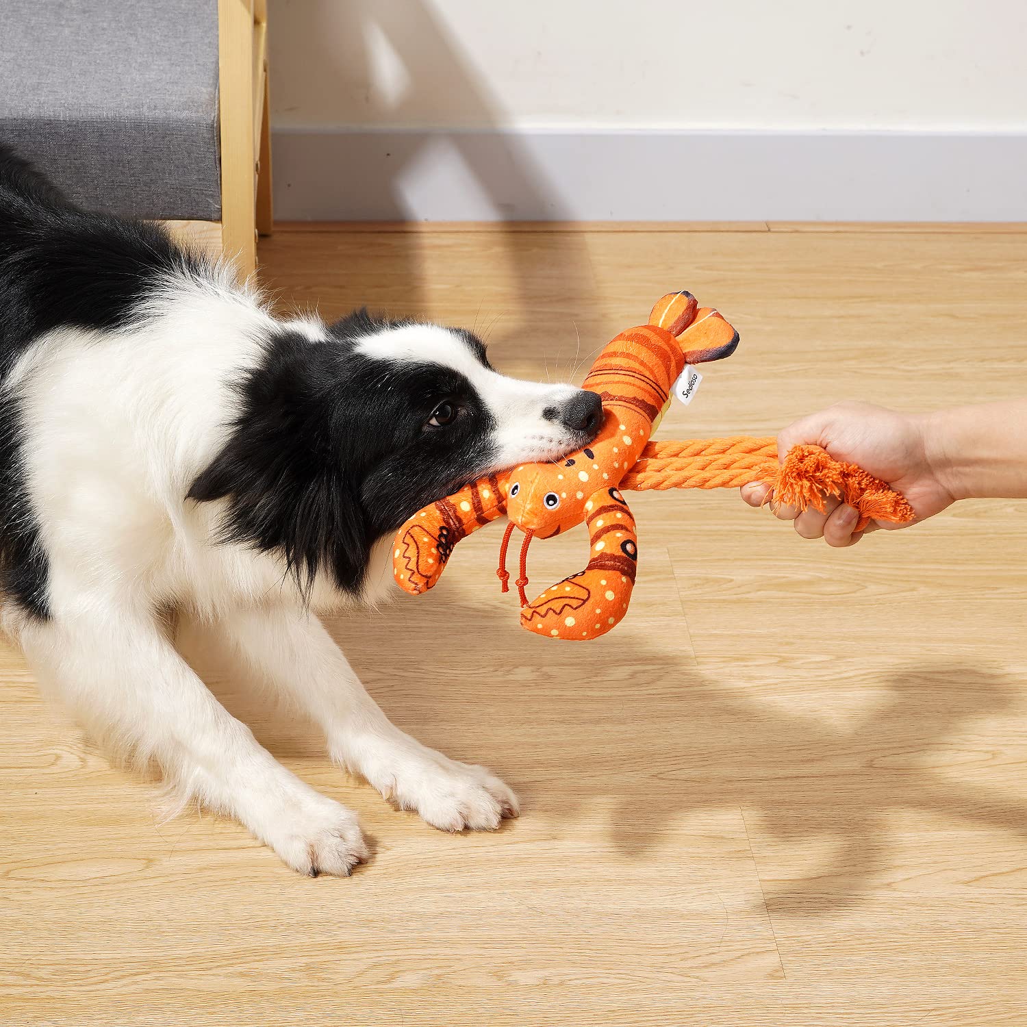 Sedioso Dog Toys, Dog Plush Toy For Large Breed, Cute Squeaky Dog Toys With Crinkle Paper , Dog Chew Toys For Puppy, Small, Middle, Big Dogs (Lobster)