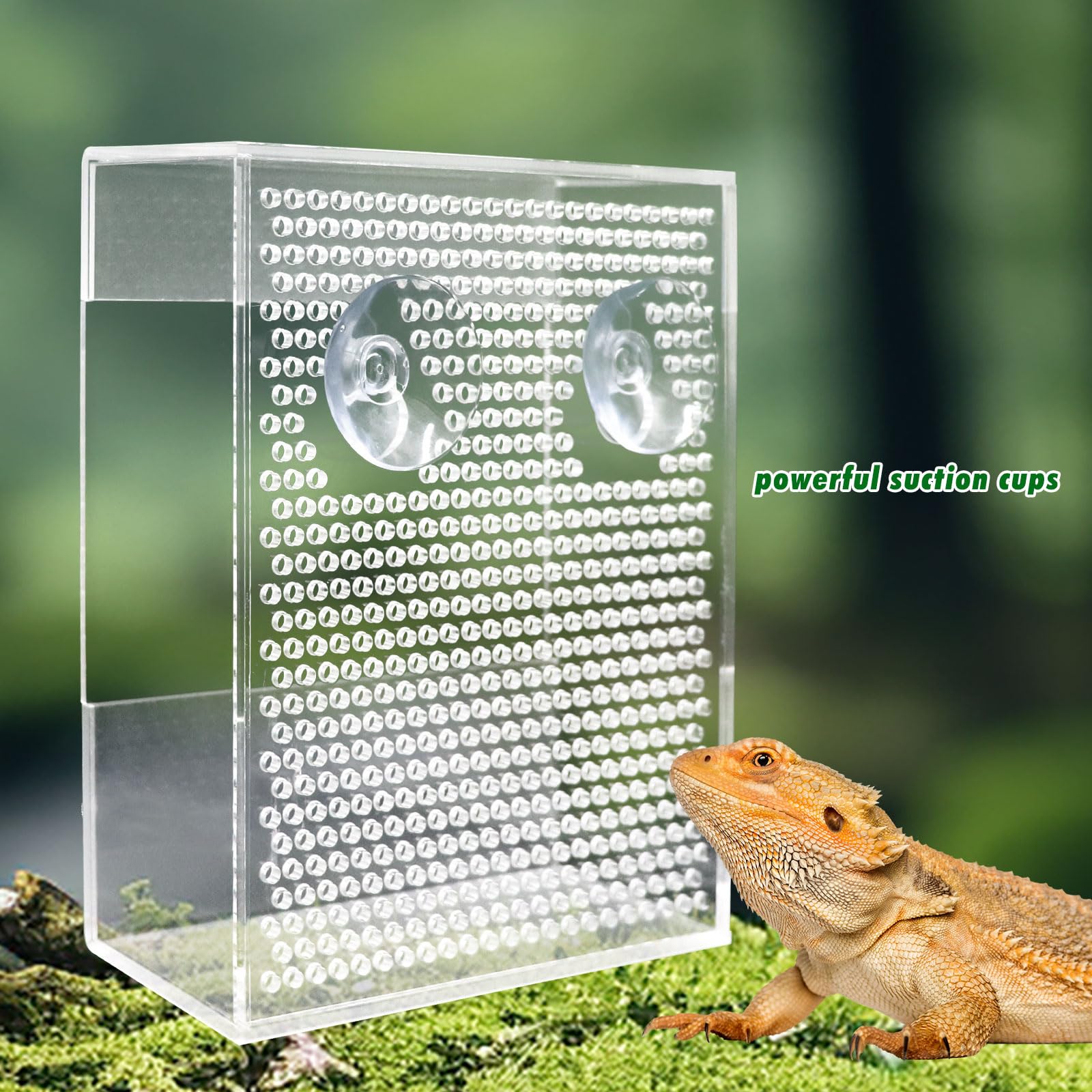 Transparent Acrylic Reptile Feeder Box, Wall-Mounted Insect Feeder With Suction Cups, Tank And Aquarium Accessories For Bearded