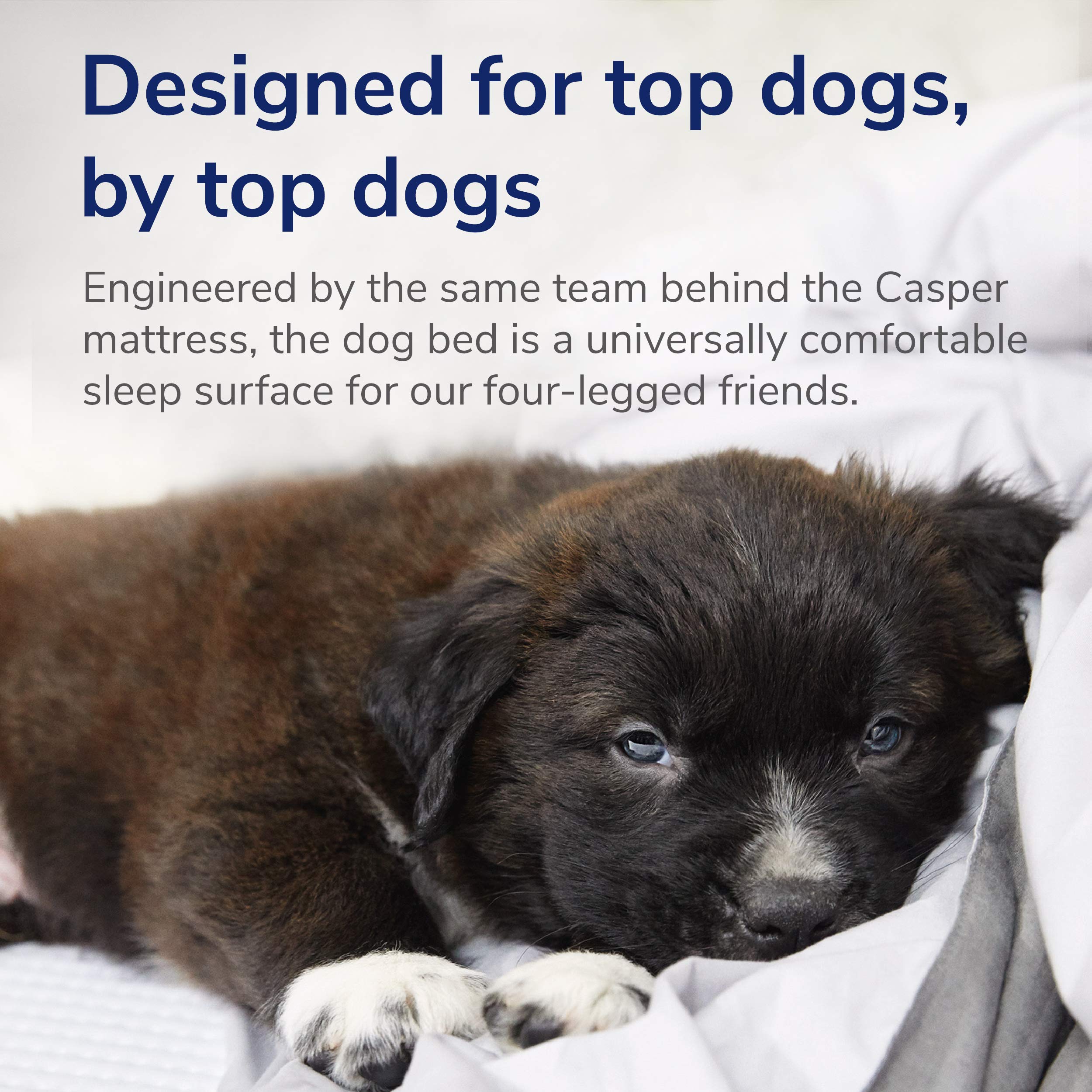 Casper Dog Bed, Plush Memory Foam, Small, Sand