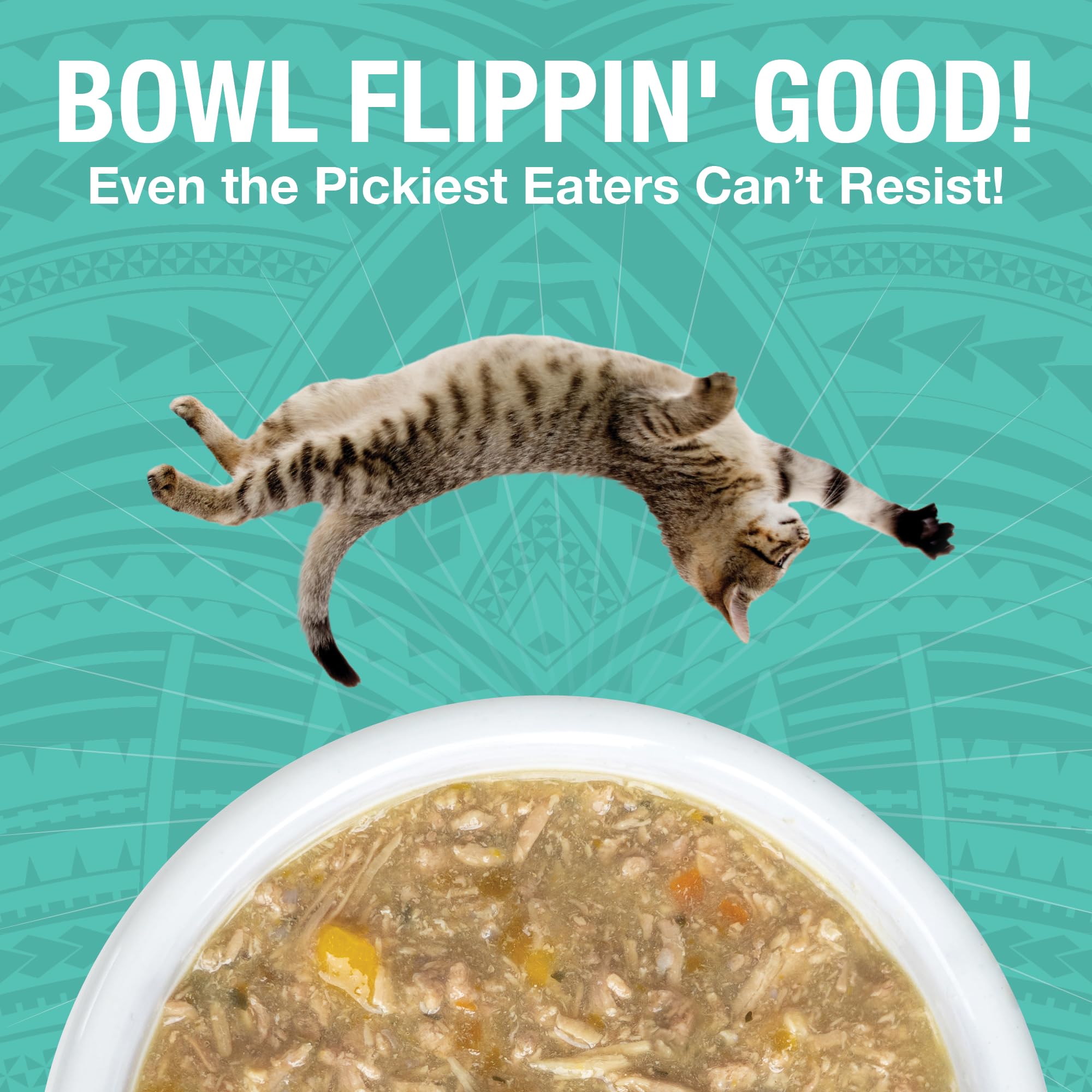 KOHA Pure Shreds Duck Entr  e for Cats, Single Meat Wet Cat Food 2.8oz Cans (Pack of 24)