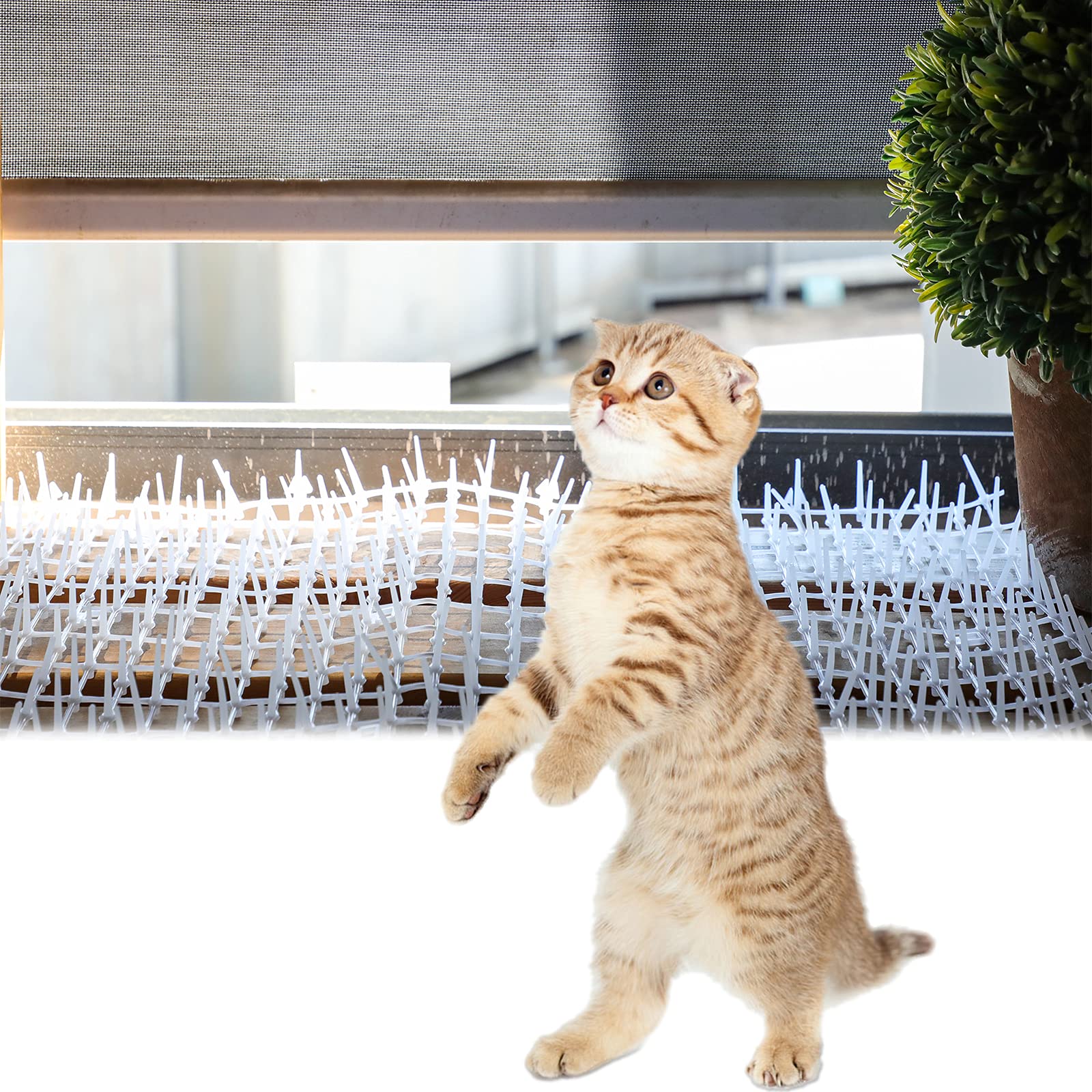 Scat Mat With Spikes Prickle Strips For Cats Dogs Spiked Mat Network Digging Stopper For Garden Fence Outdoor Indoor Keep Pet Dog Cat Off Couch Furniture (79 X 12 Inch, White)