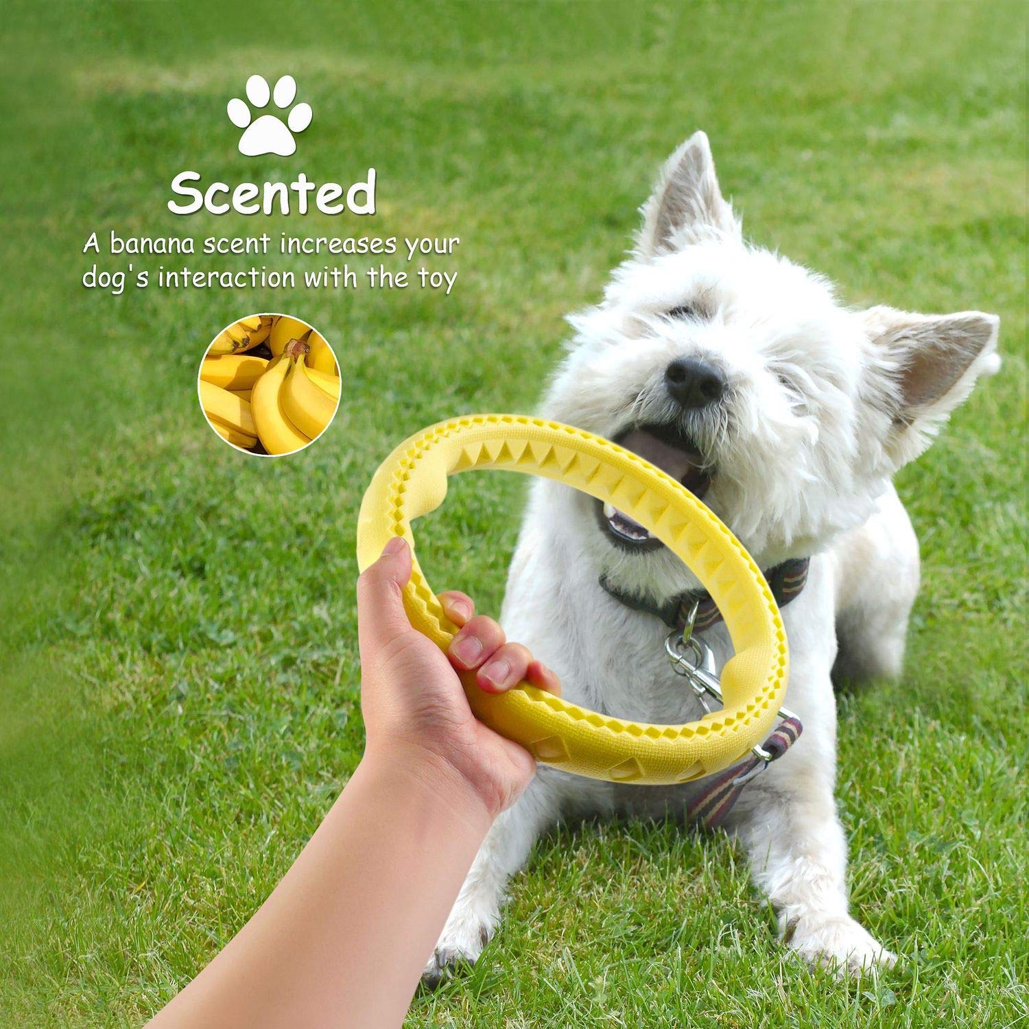 Fluffy Paws Dog Chewing Ring - Soft Rubber Dental Toy for Small/Medium Dogs - 10", Yellow