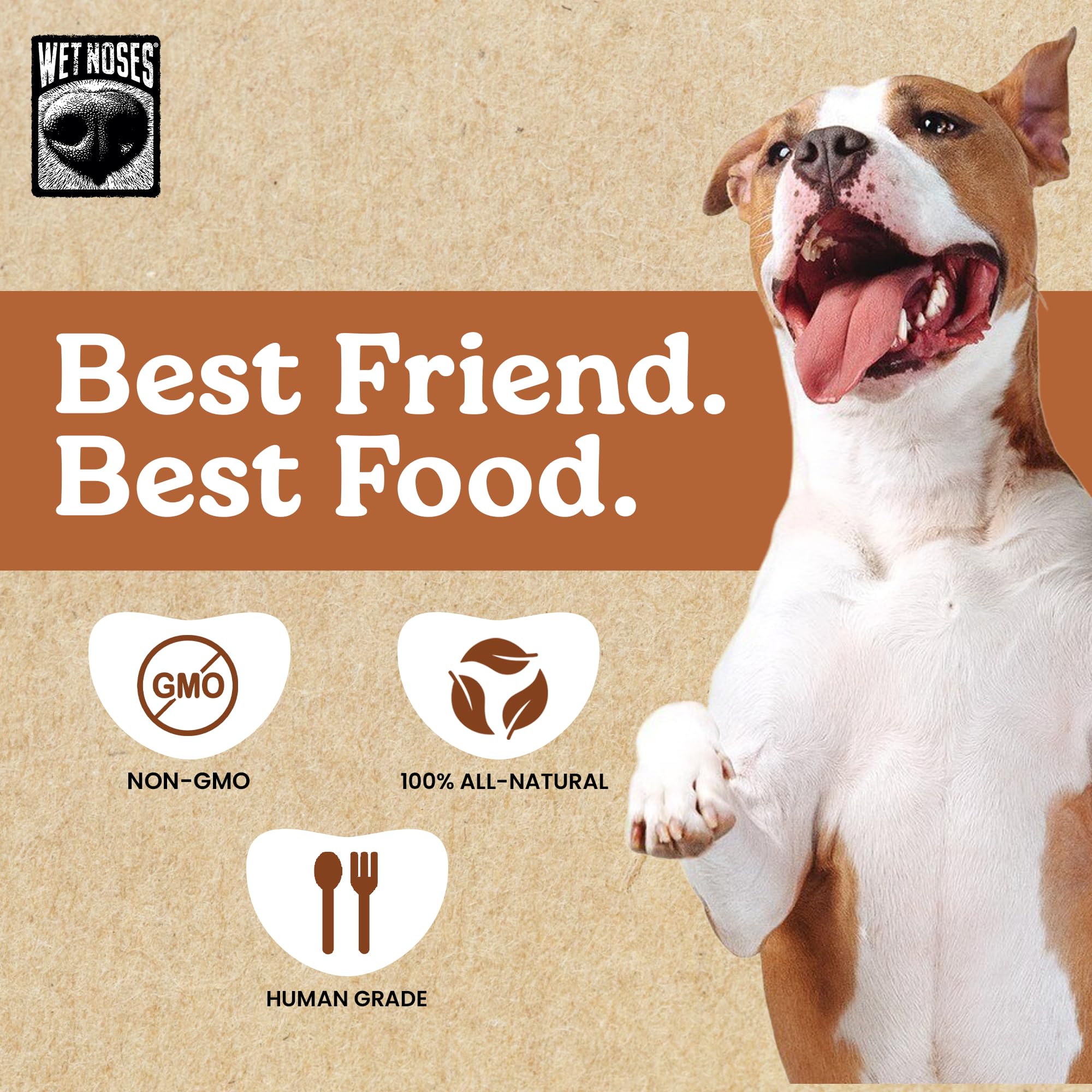Wet Noses Moments Non-GMO Beef Stew Bone Crunchy Dog Treats - 14oz | No Corn, Wheat, Soy or Peas, Made with 8 Simple Ingredients