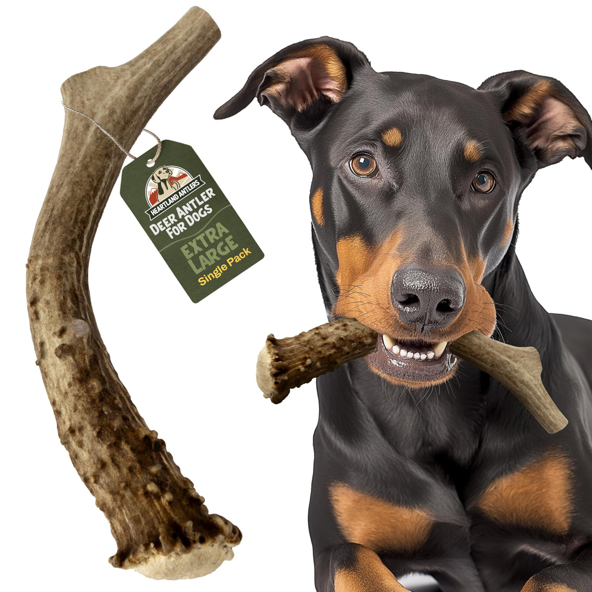Heartland Deer Antlers for Dogs - Daily Dental Care Chews for Aggressive Chewers to Reduce Plaque & Prevent Destructive Behavior