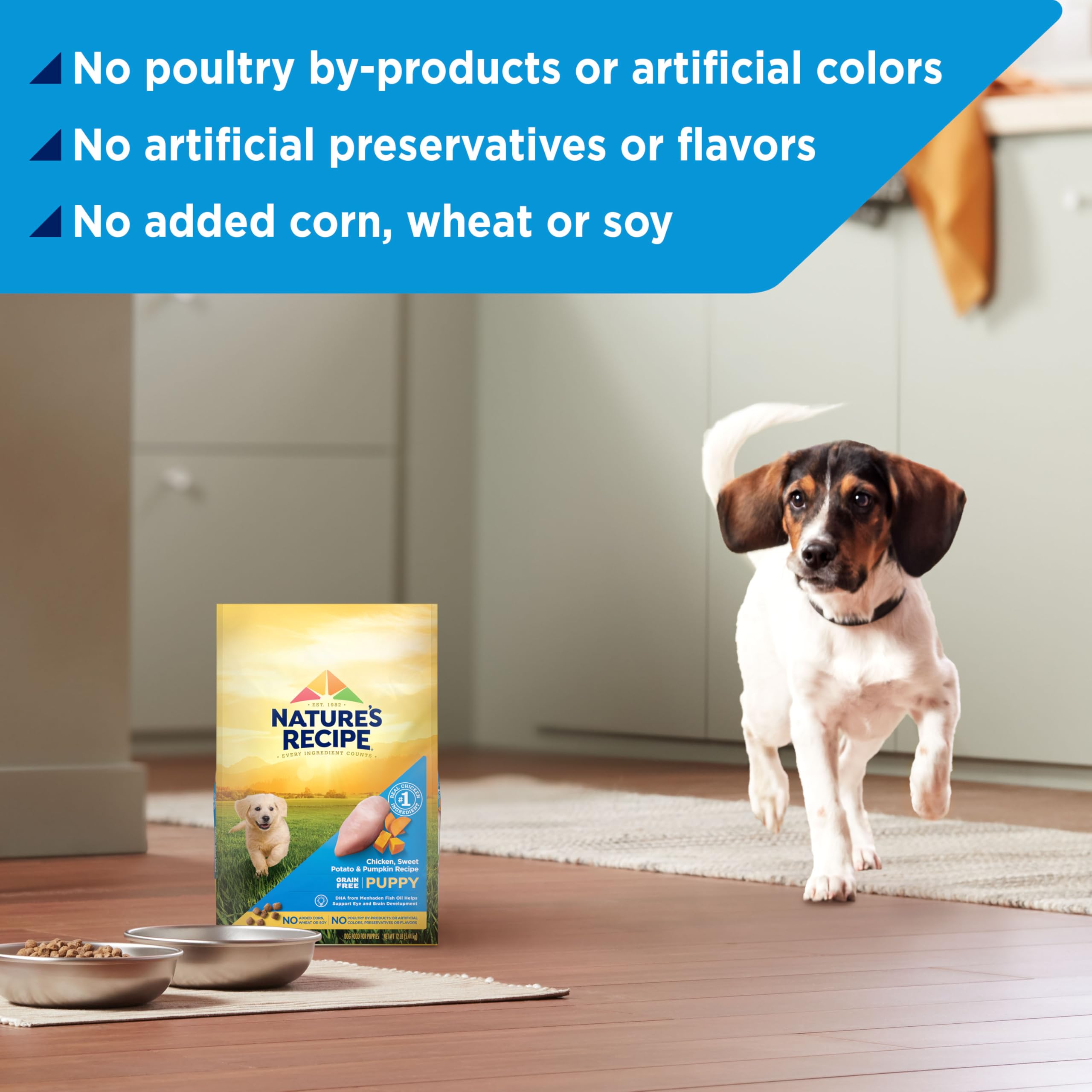 Natures Recipe Grain Free Puppy Chicken, Sweet Potato & Pumpkin Recipe Dry Dog Food, 4 lb. Bag