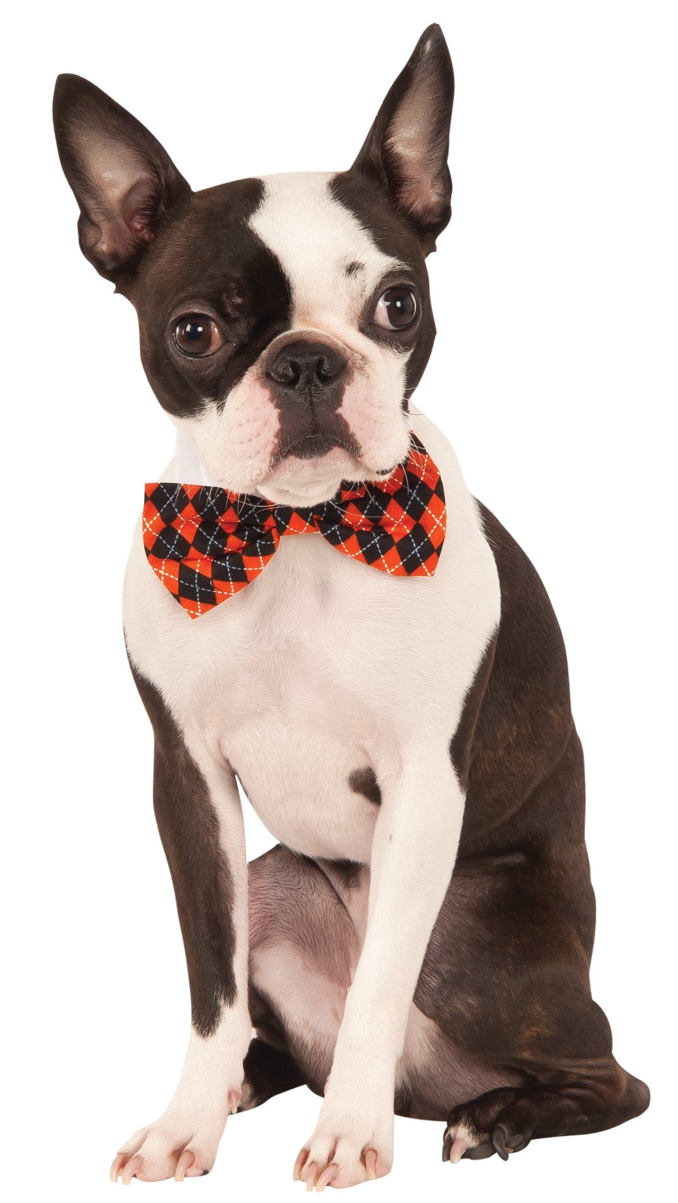 Rubies Costume Company 580406_S-M Halloween Argyle Pet Bowtie, Small/Medium