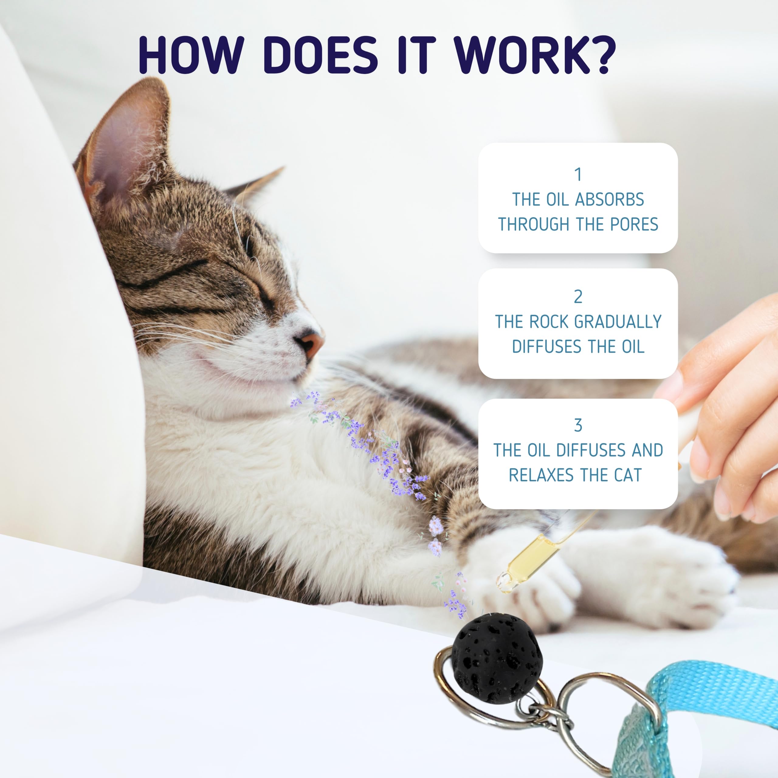 Kitten Calming Collar With 100% Natural Oil, Cat Stress And Anxiety Relief, Kitten Calming Products, Breakaway, Vet-Approved (Pu