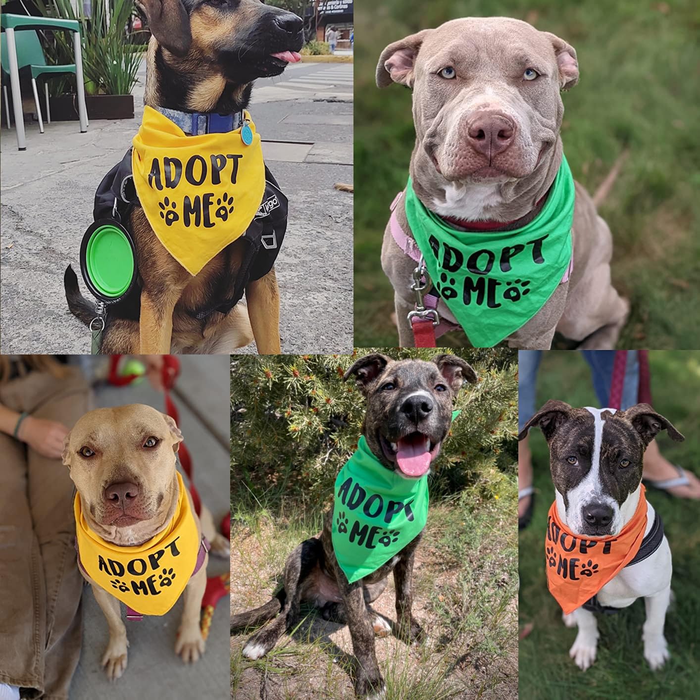 Adopt Me Bandana,3 Pack Adopt Me Bandanas For Dogs