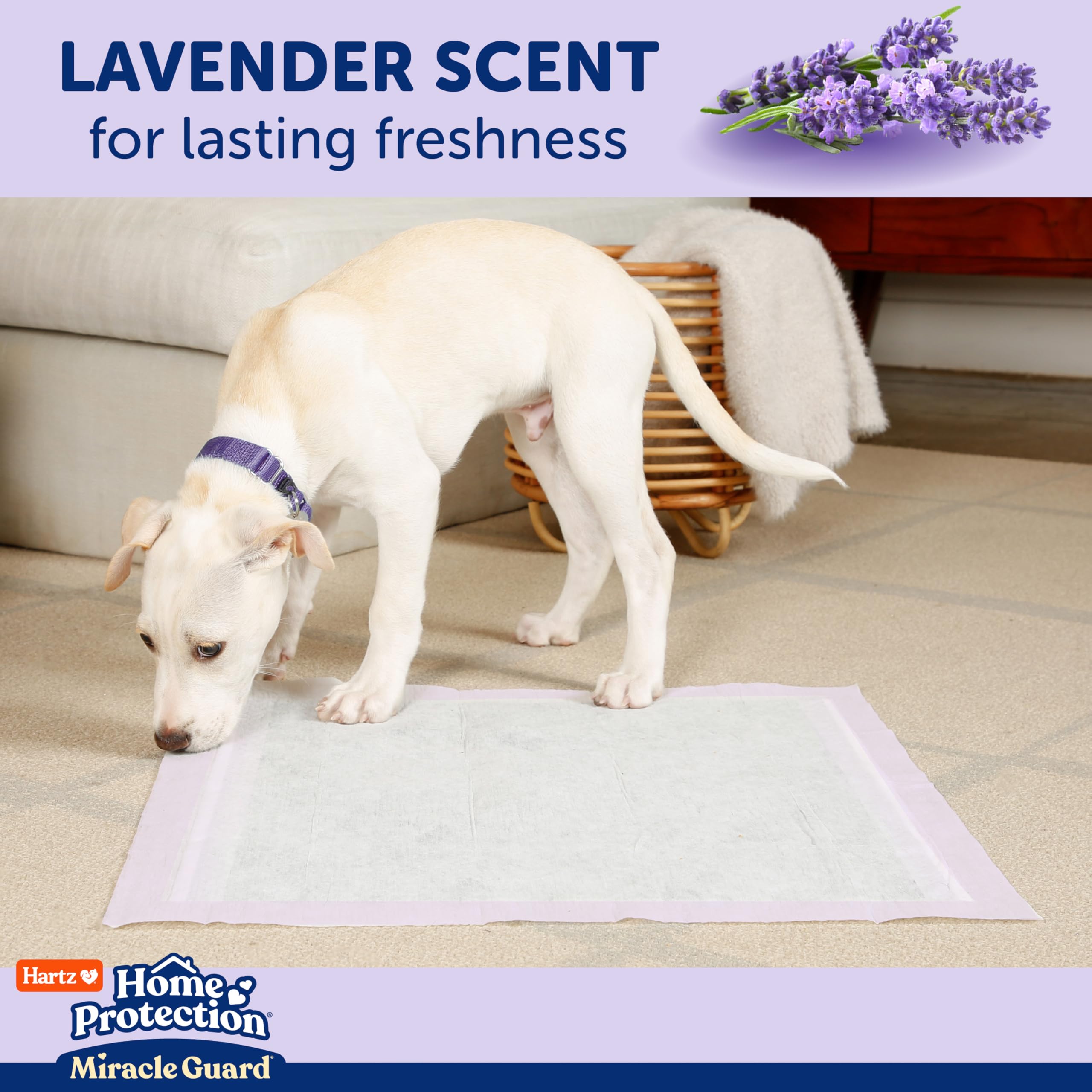 New! Hartz Home Protection Miracle Guard Lavender Scented Dog Pads, Regular Size 25 Count, 24 Hour Use, Wont Leak and Odor Elim
