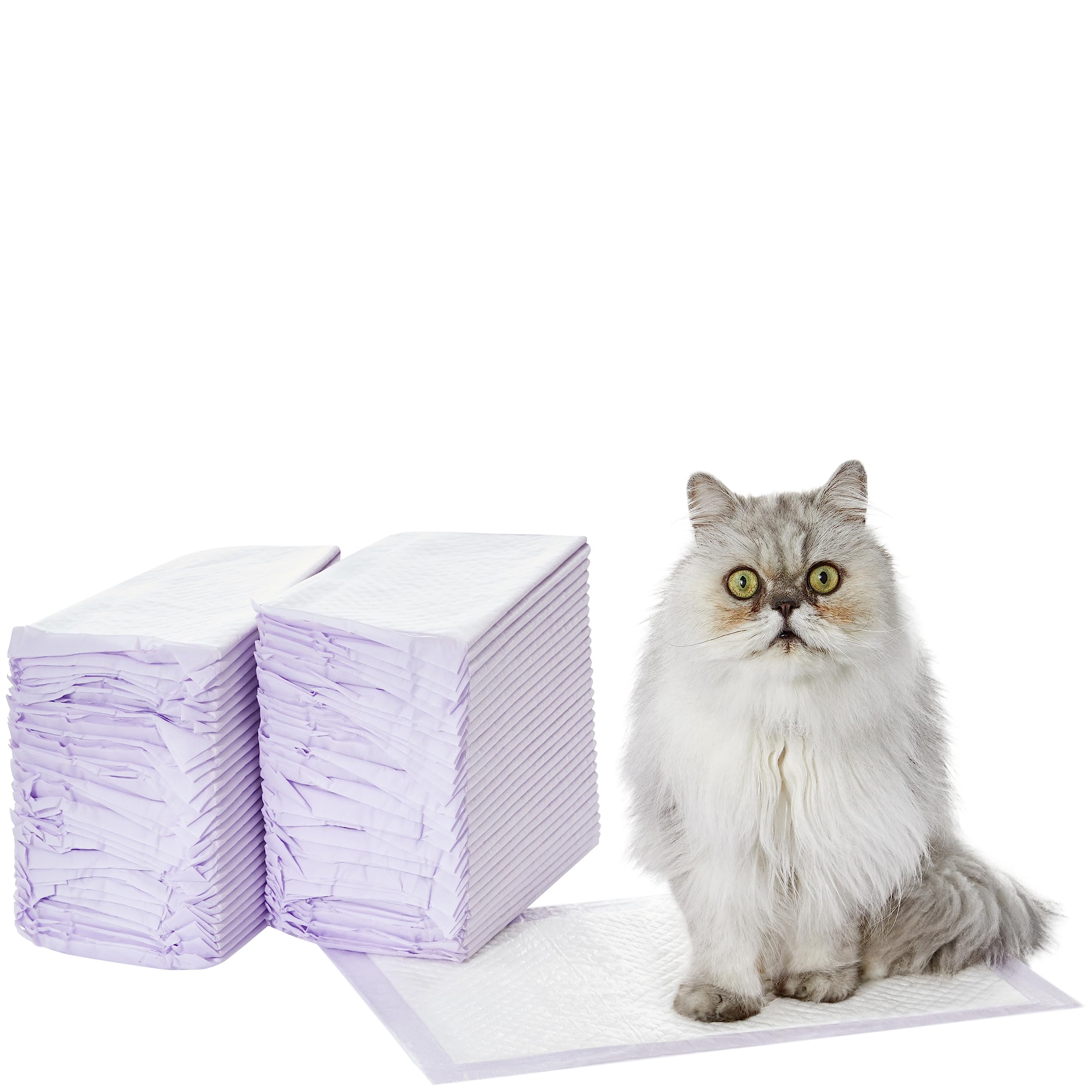 Amazon Basics Cat Pee Pads, 60 Count, Universal Fit For Litter Box, Odor Control, Unscented, White/Purple