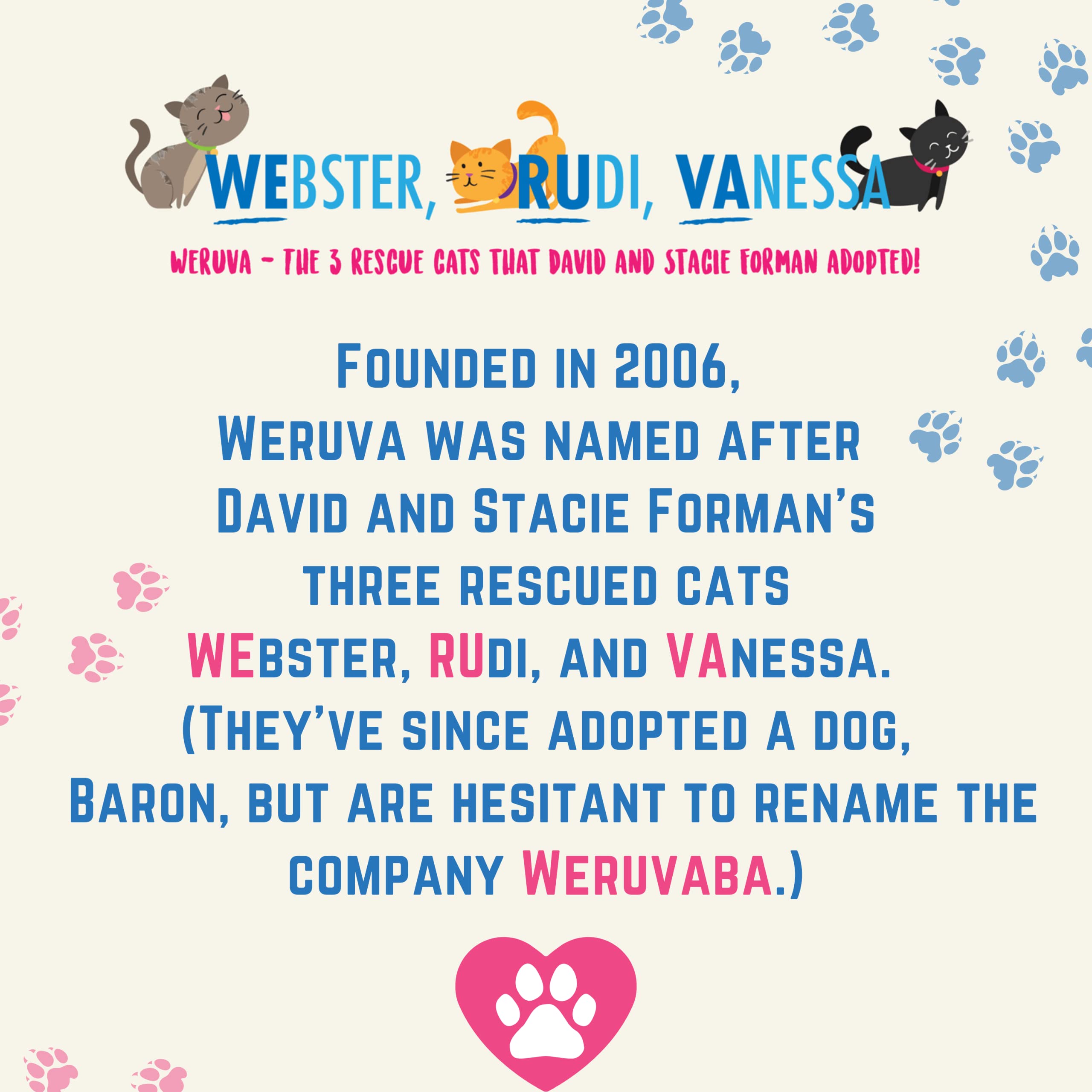 Weruva TruLuxe Grain-Free Wet Cat Food Variety Pack Box - All 10 Flavors - 3 Ounces Each (20 Total Cans - 2 of Each Flavor)
