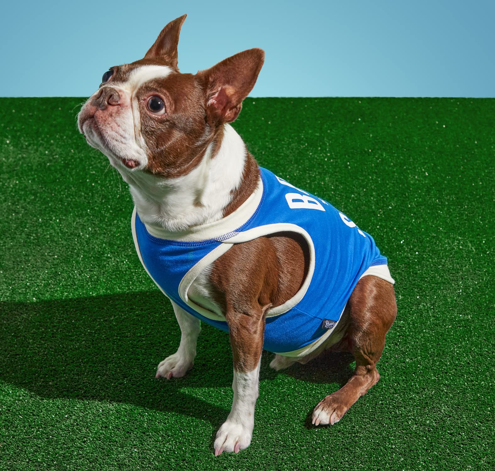 Brass Monkey Born To Sleep Dog Tank; Pre-Shrunk Cotton Pet Muscle Tank; Small (16' Chest); Cute Dog Accessories With Eye-Catchi