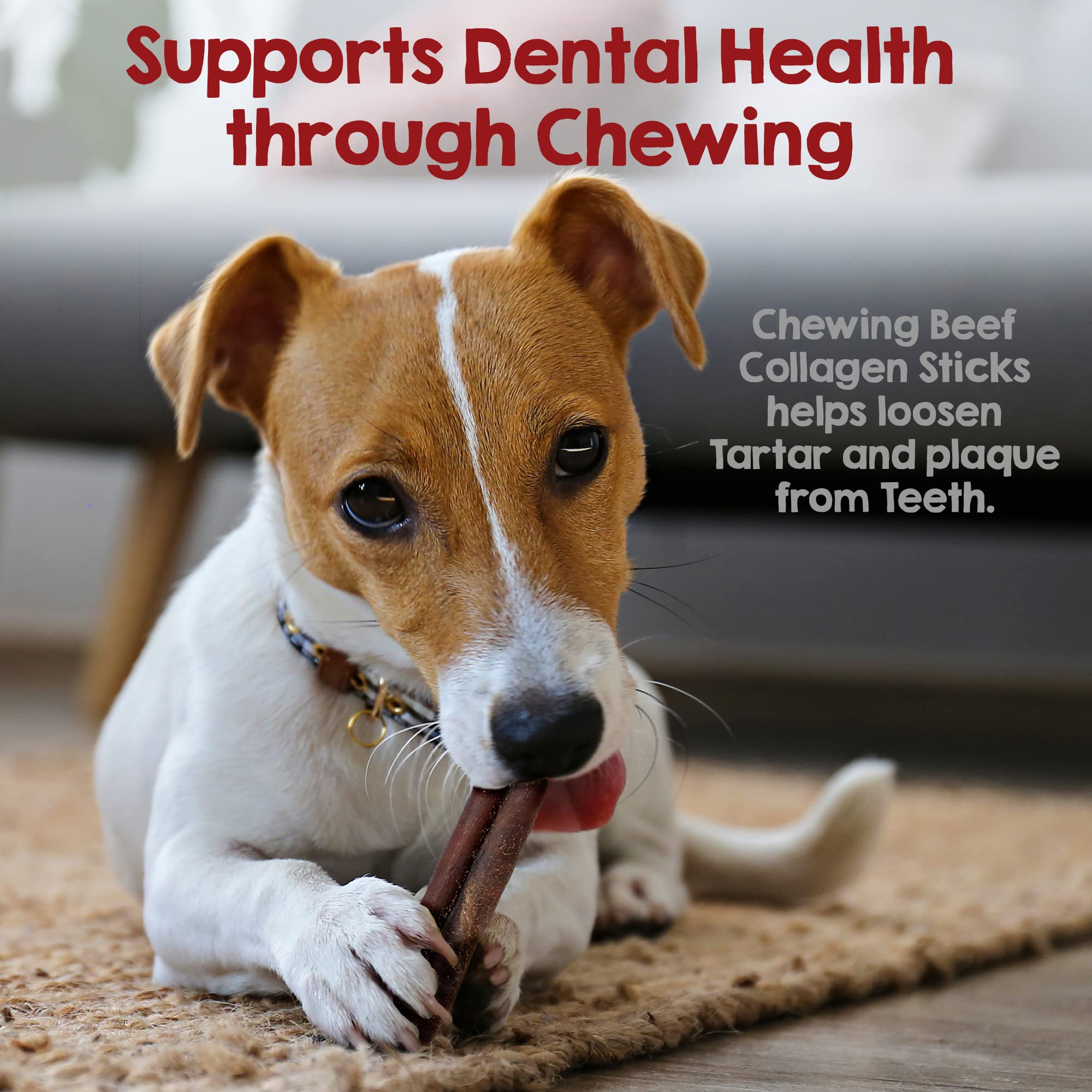 Riley's Beef Collagen Sticks for Dogs, Long Lasting Chews, 12 Inch, 5 ct, Single Ingredient, No Rawhide Alternative