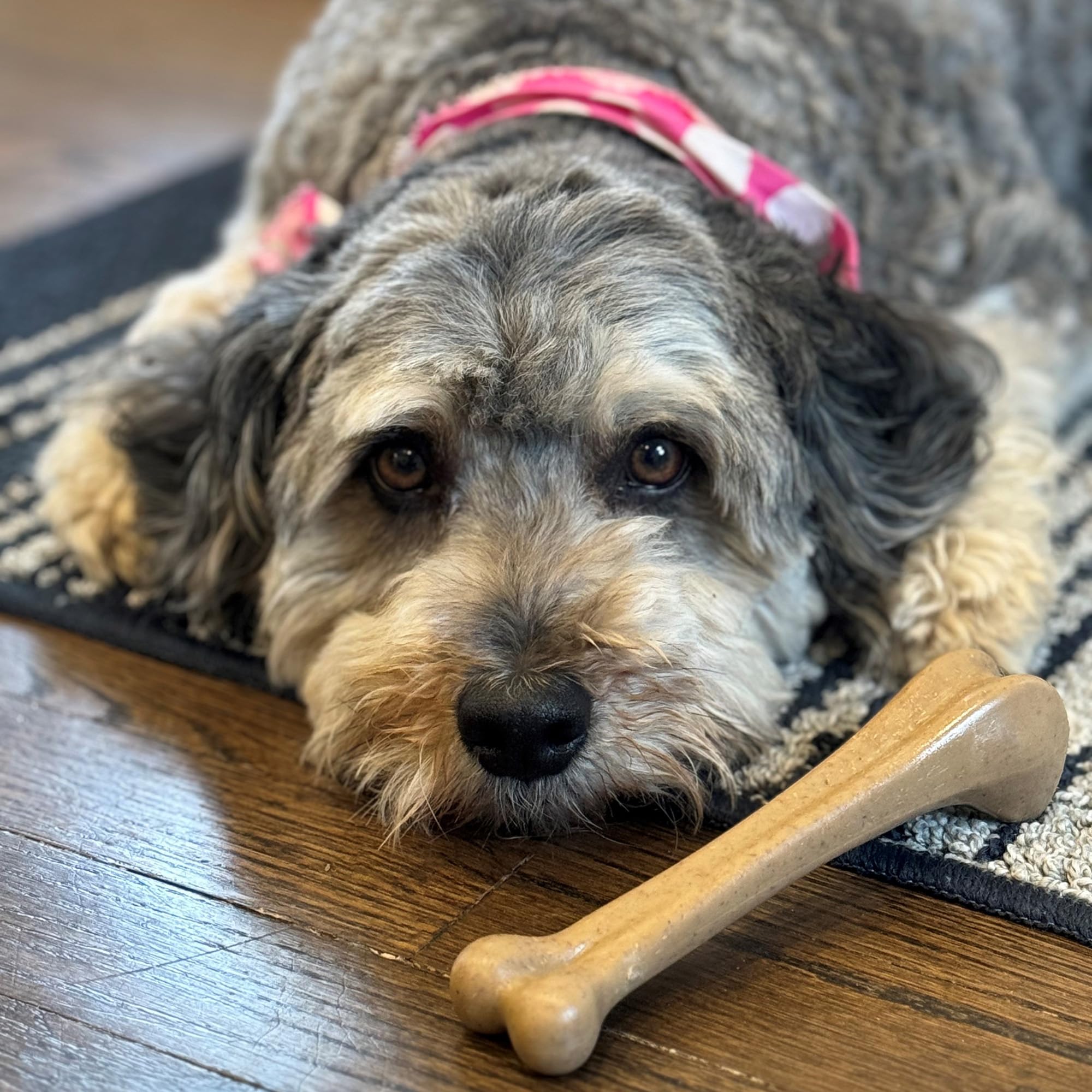 Spot Ethical Pets 54318 Bambone Bone Chicken Pet Chew Toys