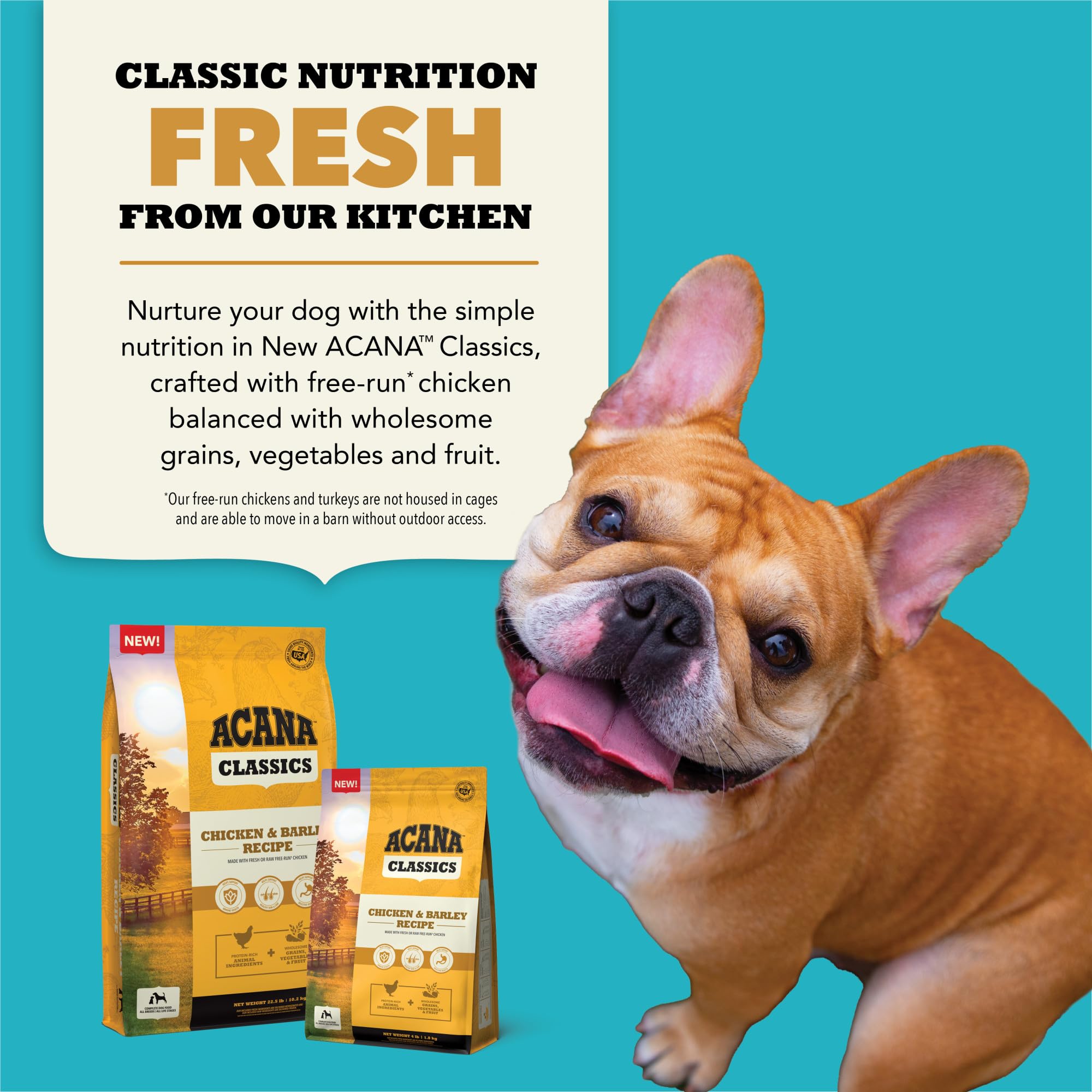 ACANA Classics Dry Dog Food Chicken and Barley Recipe 4lb Bag