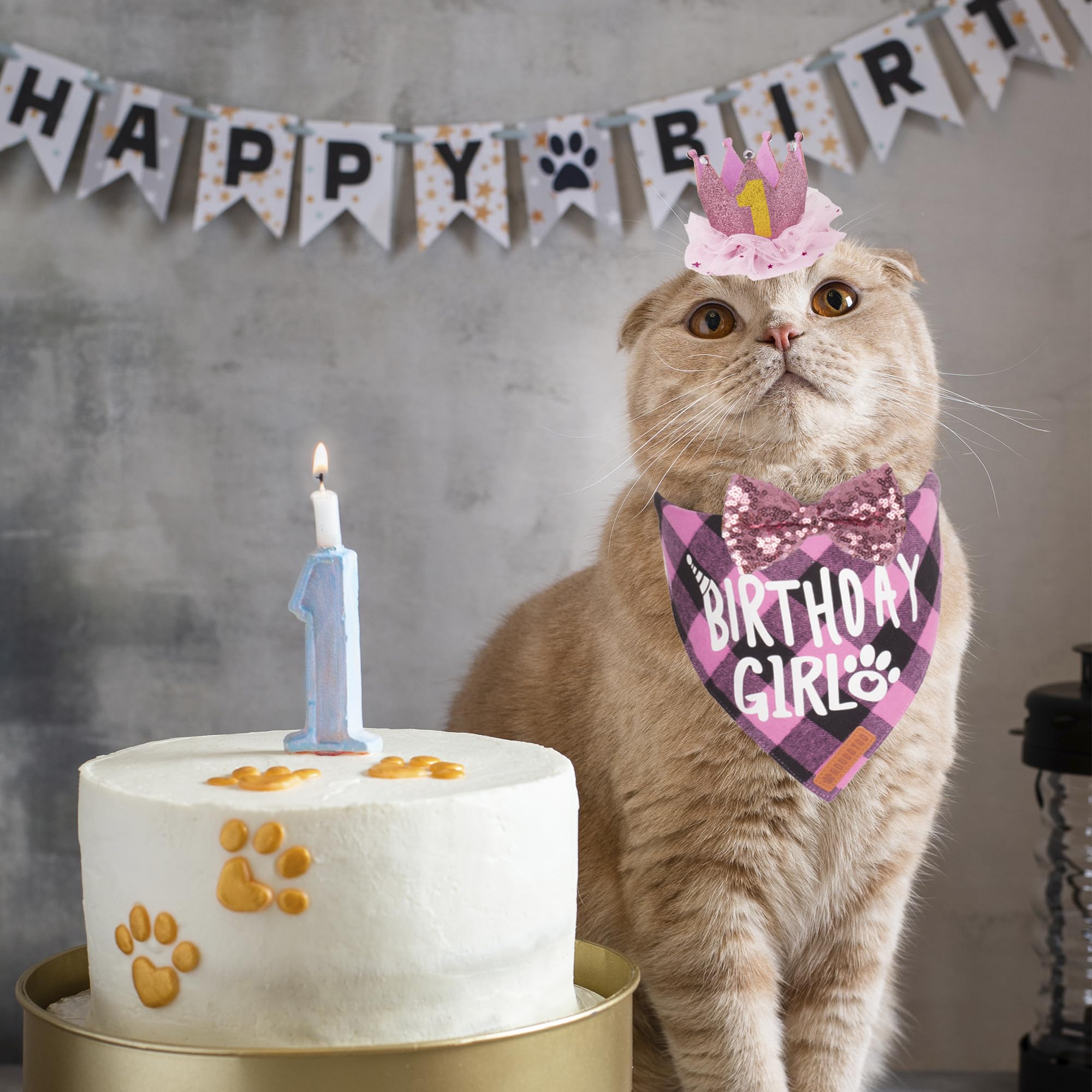 Adoggygo Cat Birthday Party Supplies, Birthday Girl Plaid Kitten Bandana, Pink Cat Party Hat With Numbers, Bowtie (Pink)