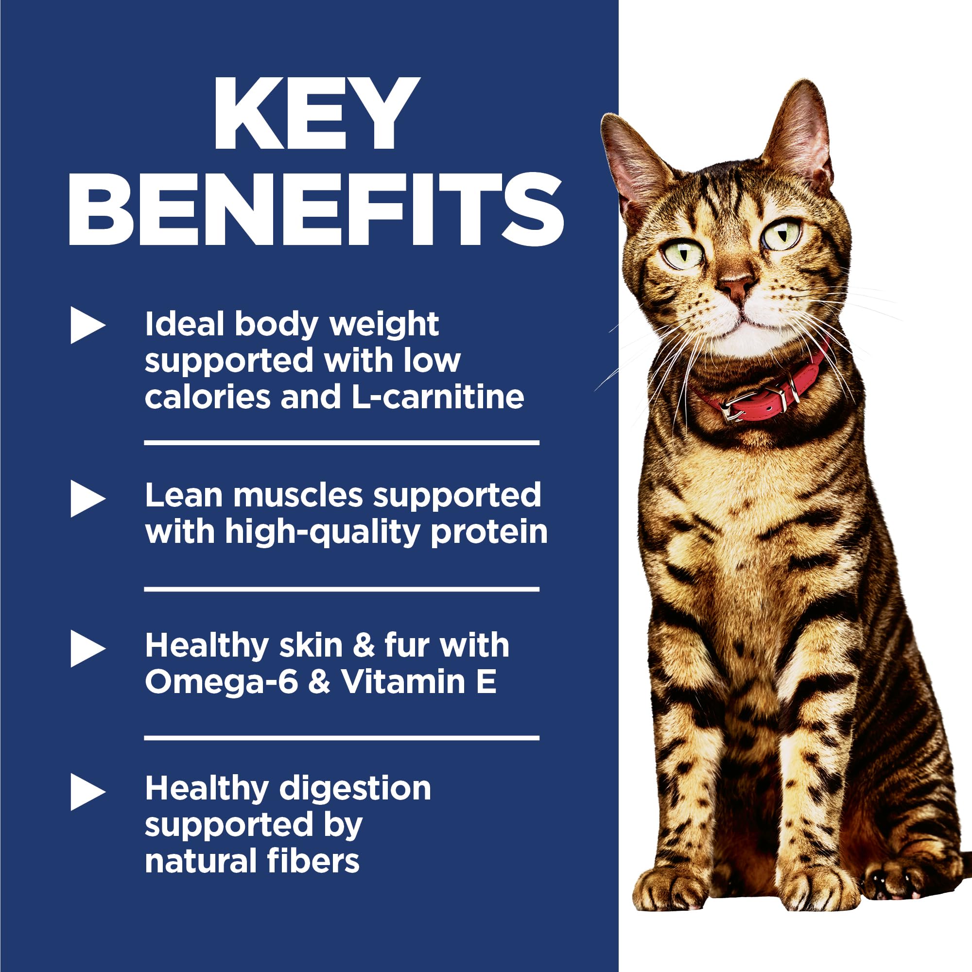 Hills Science Diet Light, Adult 1-6, Weight Management Support, Dry Cat Food, Chicken Recipe, 7 lb Bag