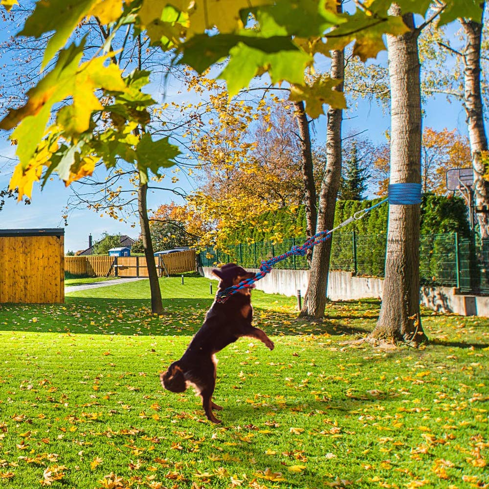 Dog Tug Toy, Outdoor Hanging Bungee Dog Toy, Interactive Spring Dog Tree Toy For Tug Of War, Bite Training, Pull Exercise, Puppy Interactive Bite Training, Solo Play, Blue