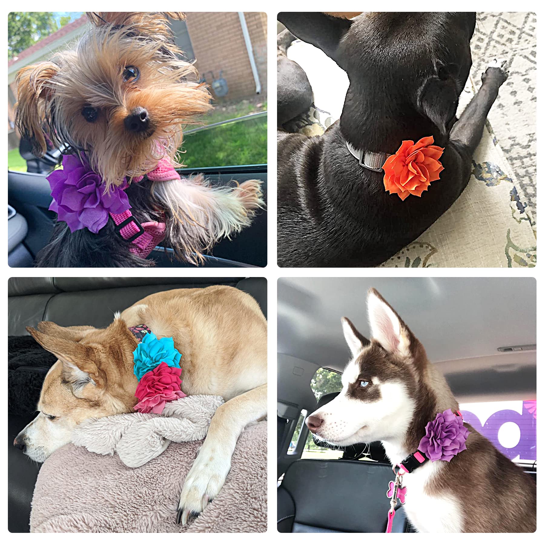 PET SHOW Dog Charms Flower Collar Embellishment Accessories For Cat Puppy Collars Dogs Bowtie Grooming Pack of 8