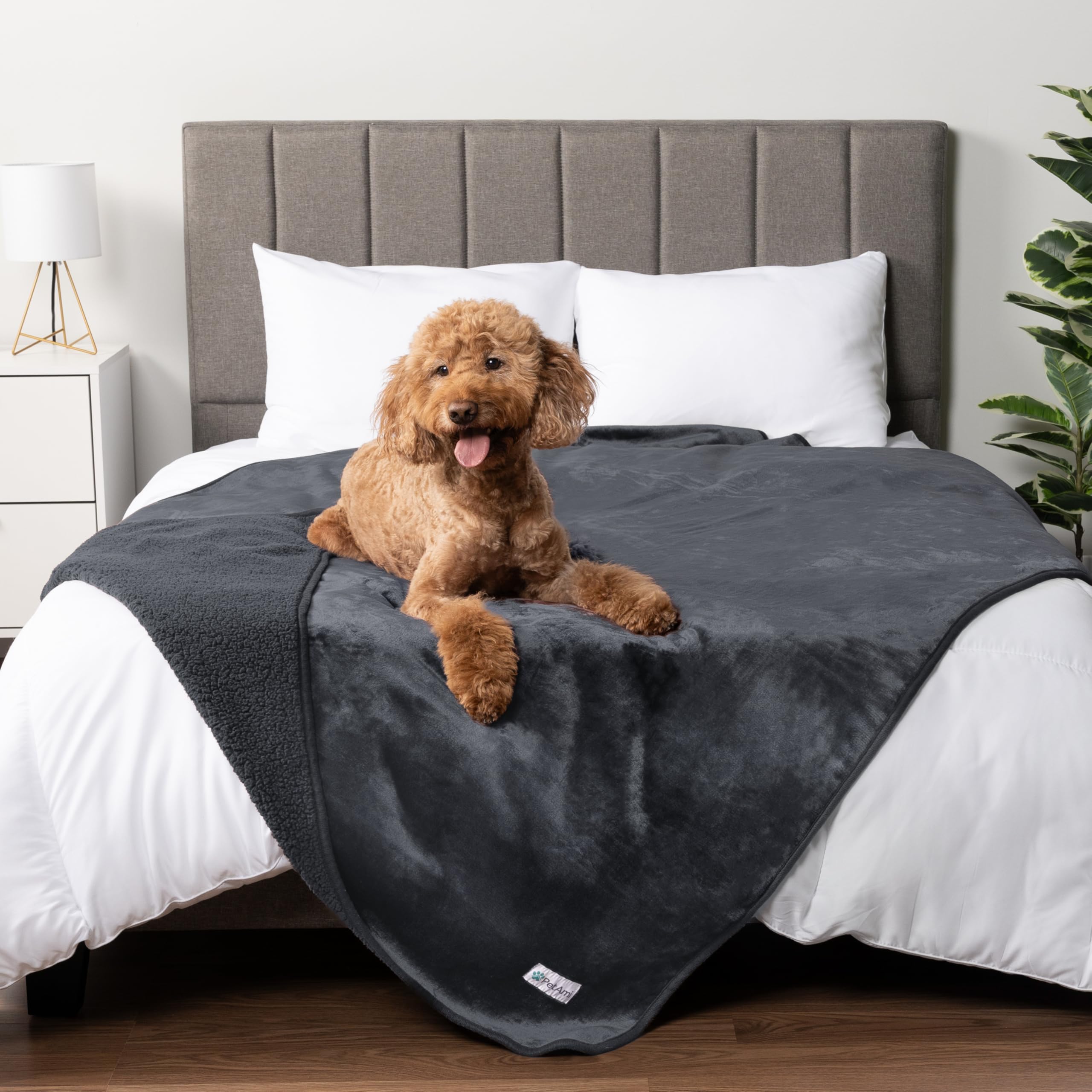Petami Waterproof Dog Blanket For Medium Large Dogs, Pee Proof Pet Blanket For Bed Couch, Reversible Water Proof Blanket For Puppy Indoor Cat, Soft Dog Pee Crate Cover Washable, 60X80 Gray