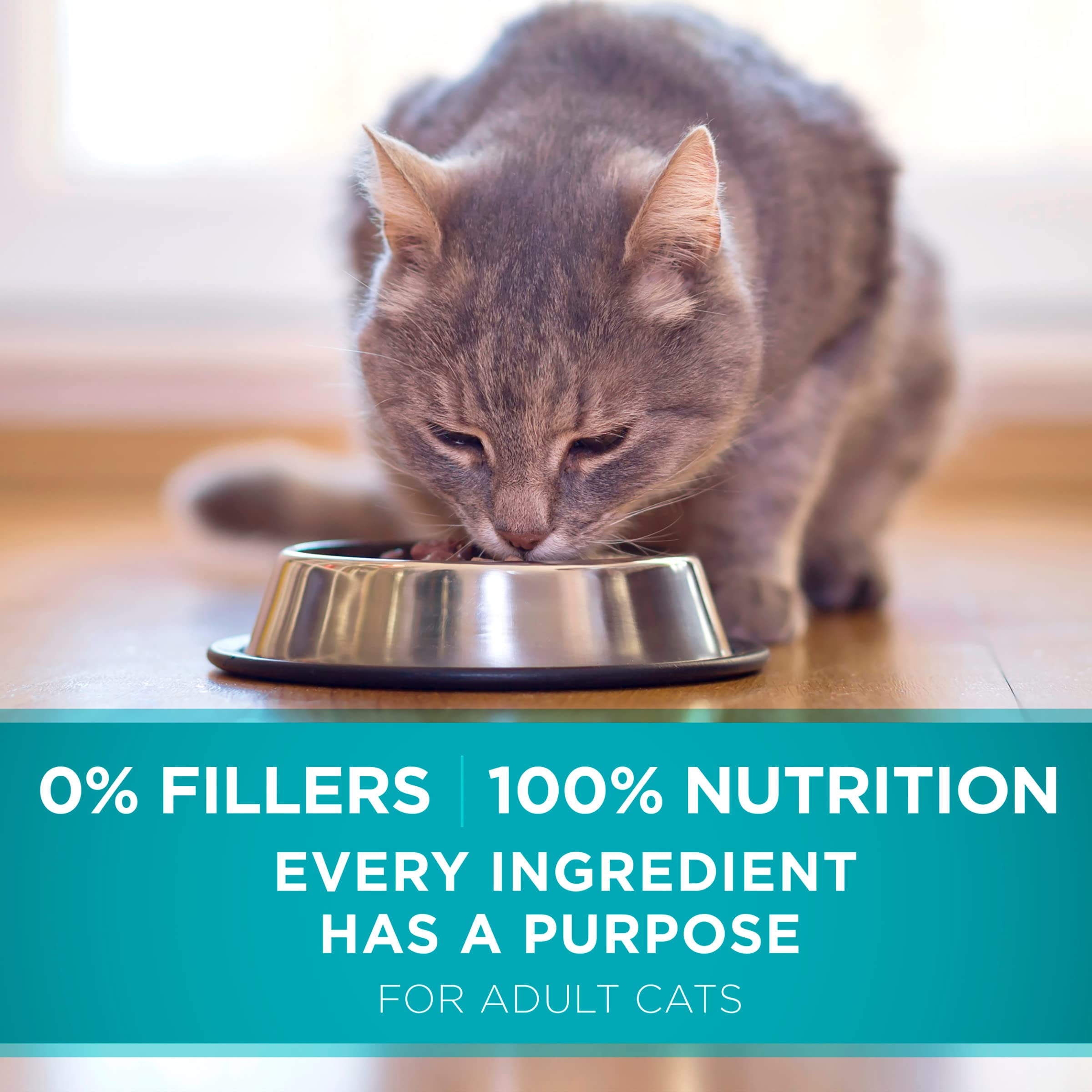 Purina ONE Natural Dry Cat Food, Tender Selects Blend with Real Salmon - 22 lb. Bag