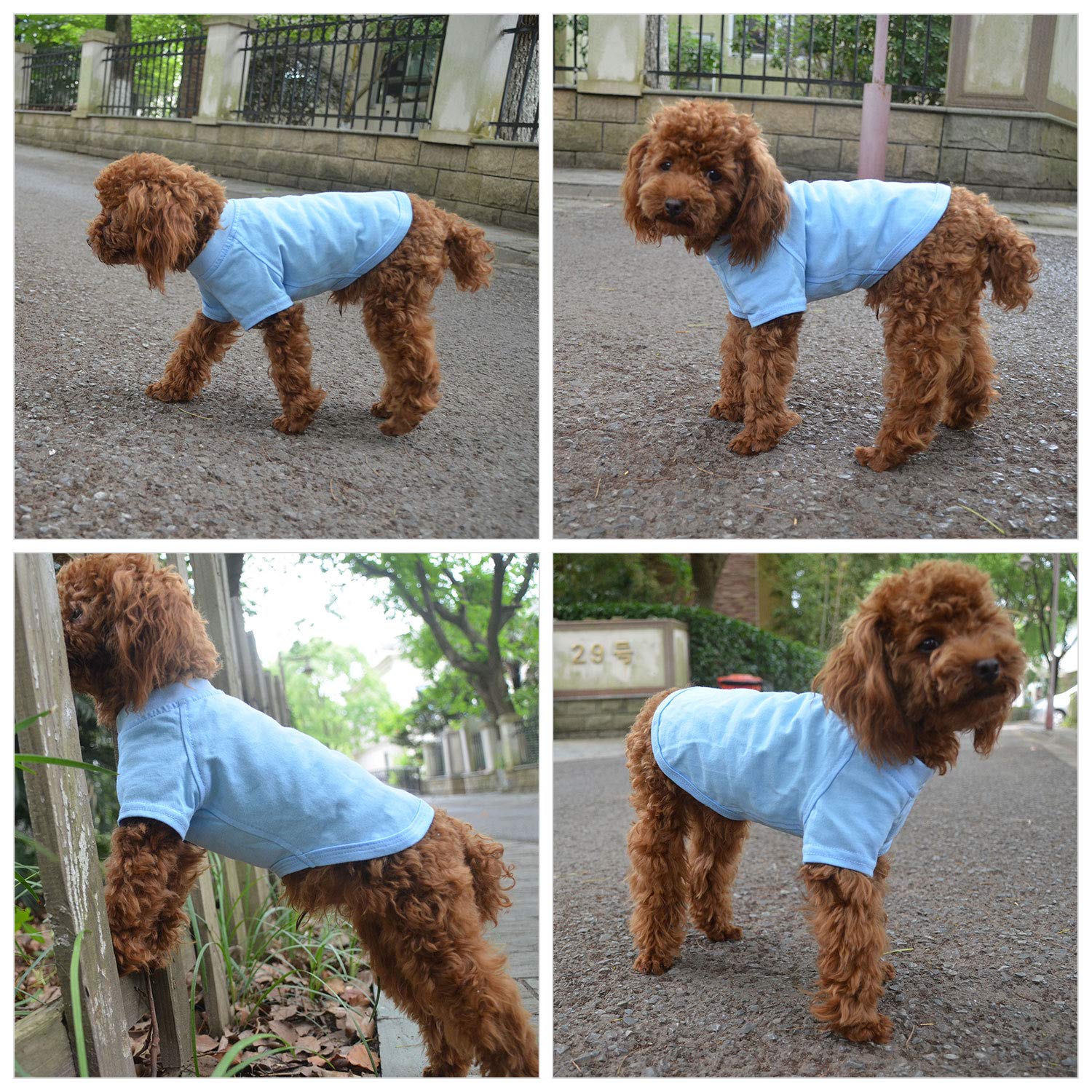 Lovelonglong 2019 Pet Clothing Dog Costumes Basic Blank T-Shirt Tee Shirts For Small Dogs Light-Blue L