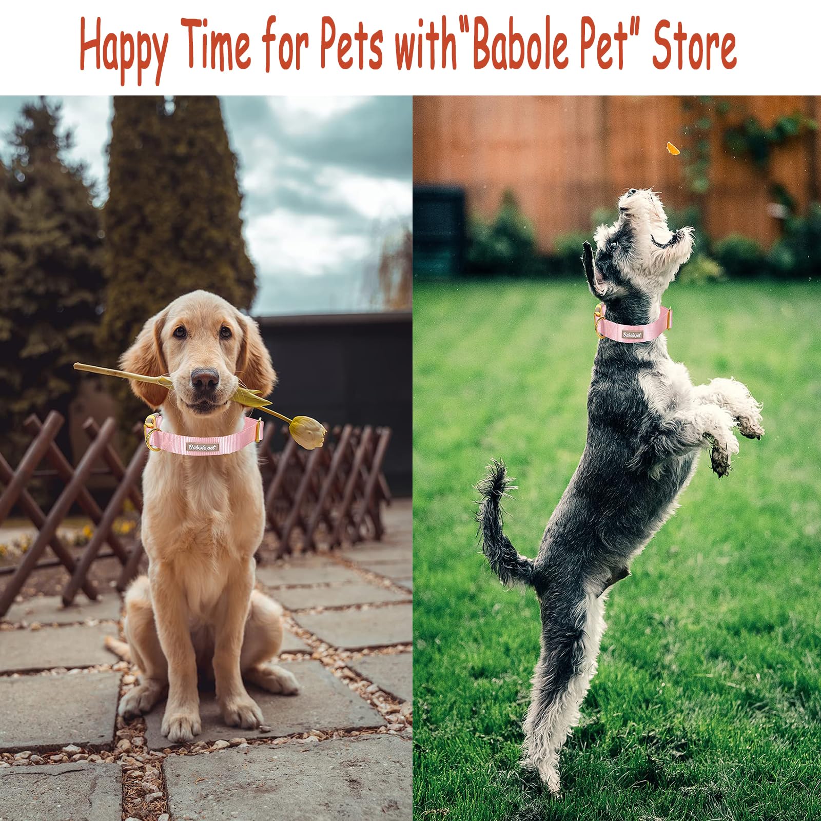 Babole Nylon Dog Collars Pink For Small Puppy Dog,13 Colors,Adjustable Soft Comfortable Pet Collars With Safety Metal Buckle For Medium Large Boy&Girl&Female Dog(S)